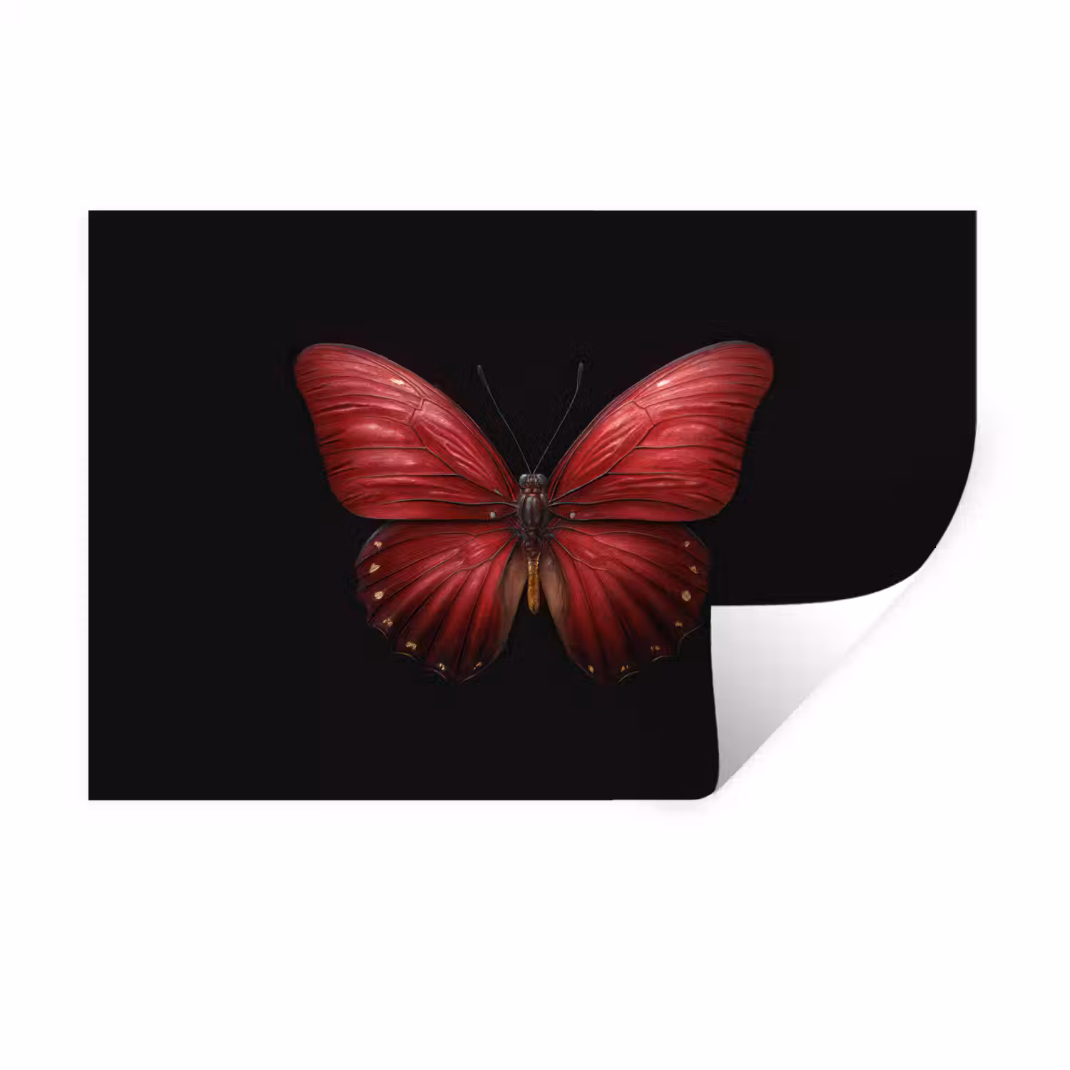 Vlinder - Rood - Minimalistisch Muursticker klein -3d