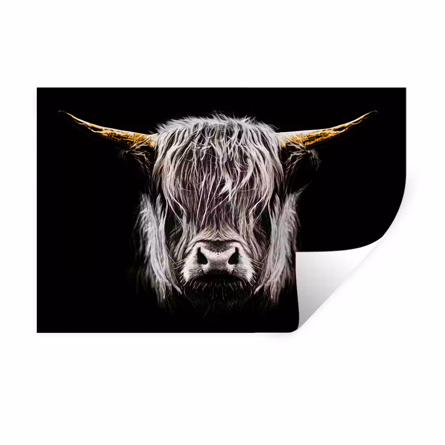 Schotse hooglander - Goud - Hoorns - Zwart wit - Koe - Dieren Muursticker klein -3d