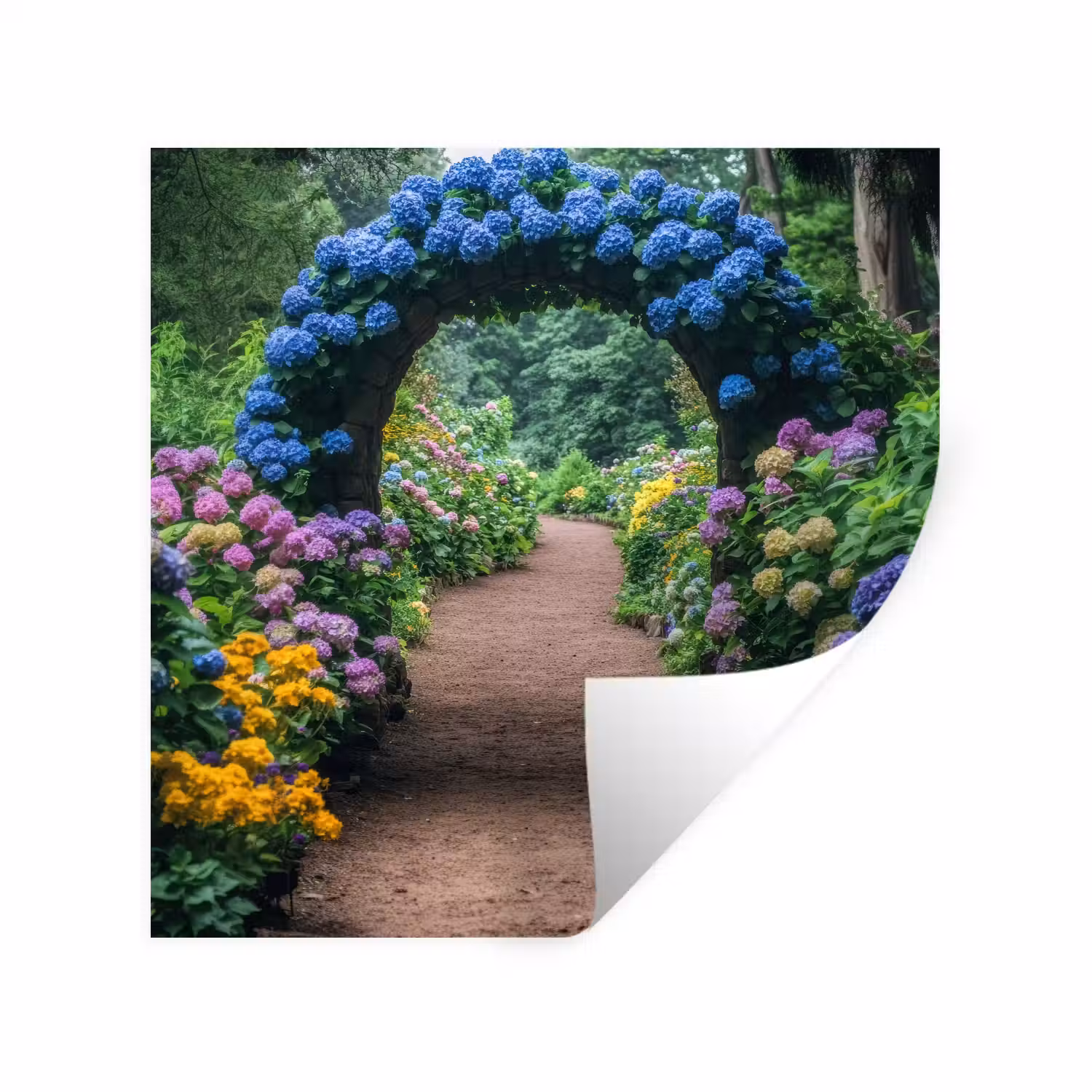 Doorkijk - Bloemen - Hortensia - Pad Muursticker klein -3d