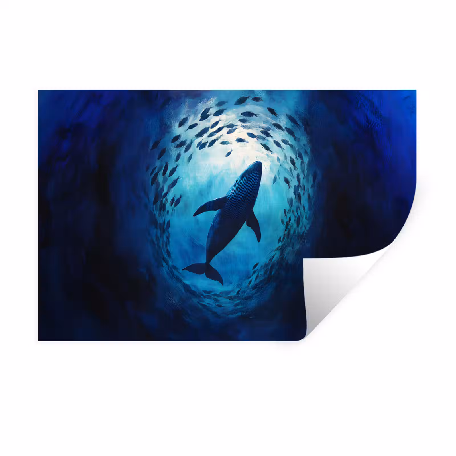 Walvis - Vissen - Donkerblauw Muursticker klein -3d