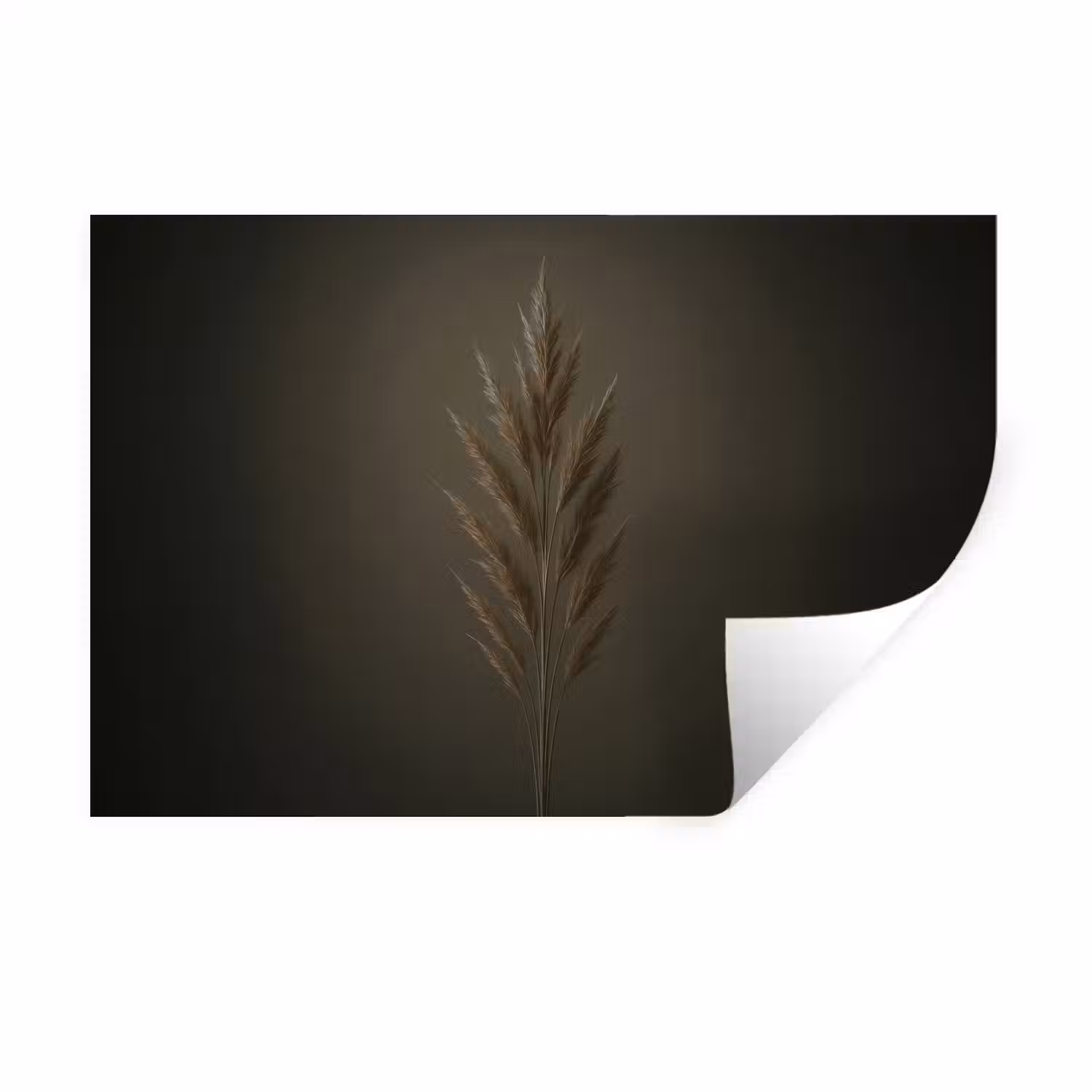 Tak - Pluimgras - Donkerbruin Muursticker klein -3d