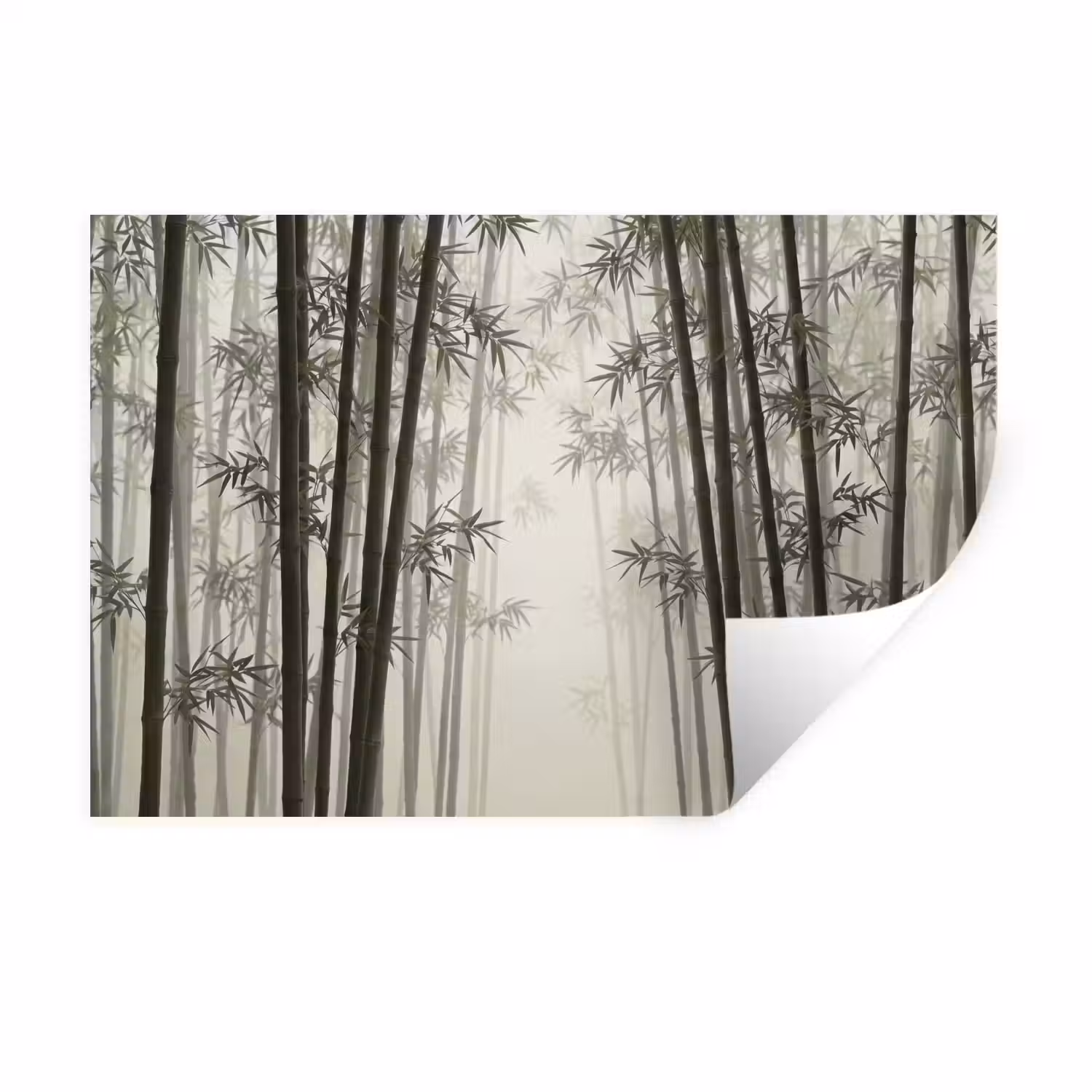 Bamboe - Bos - Mist - Natuur Muursticker klein -3d