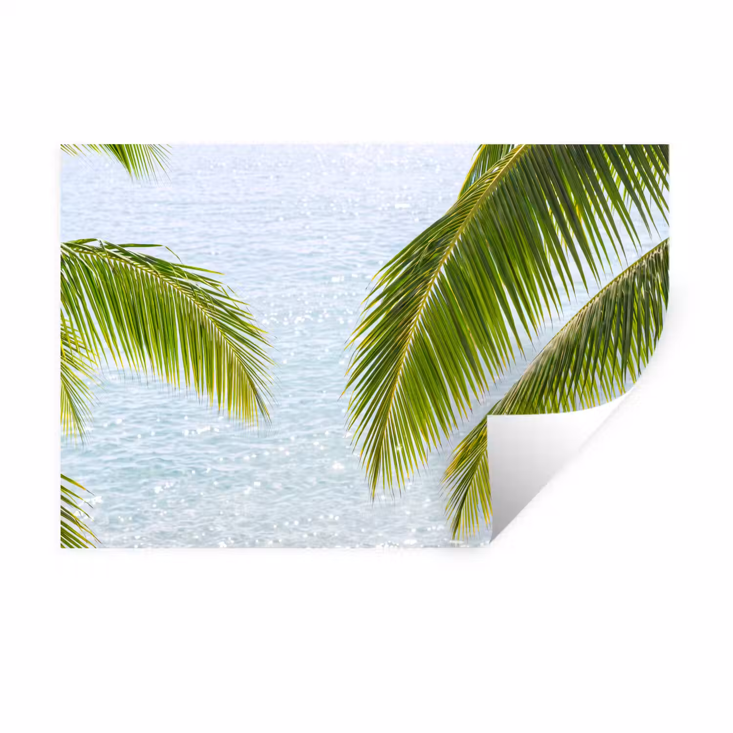 Boom - Bladeren - Water - Tropisch - Groen Muursticker klein -3d