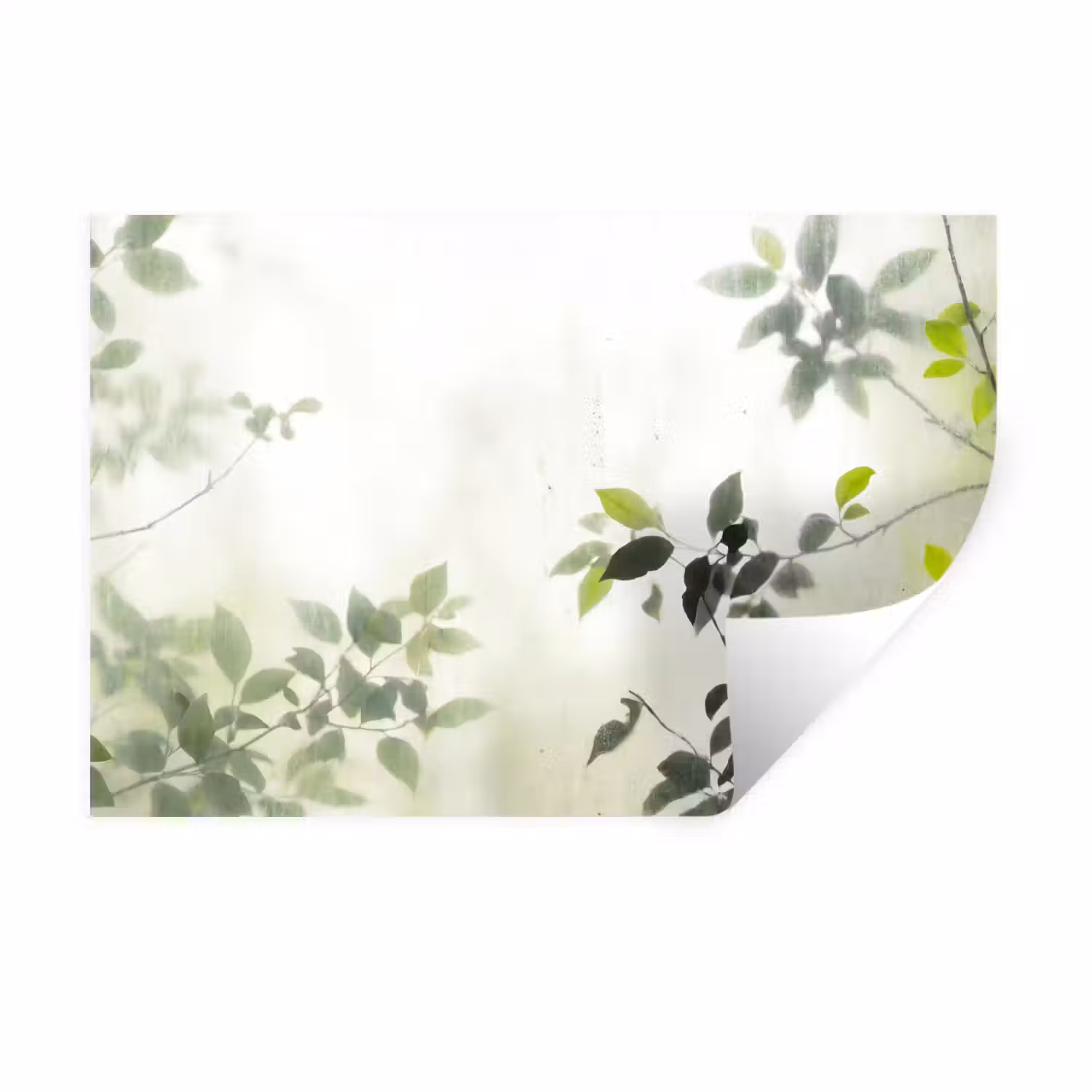 Blad - Schaduw - Natuur - Abstract - Groen Muursticker klein -3d