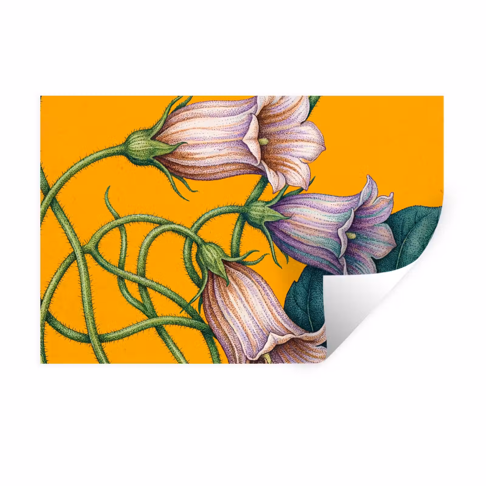 Wandtattoo – Blumen – Botanik – Gelb - Bloemen - Botanisch - Geel Muursticker klein