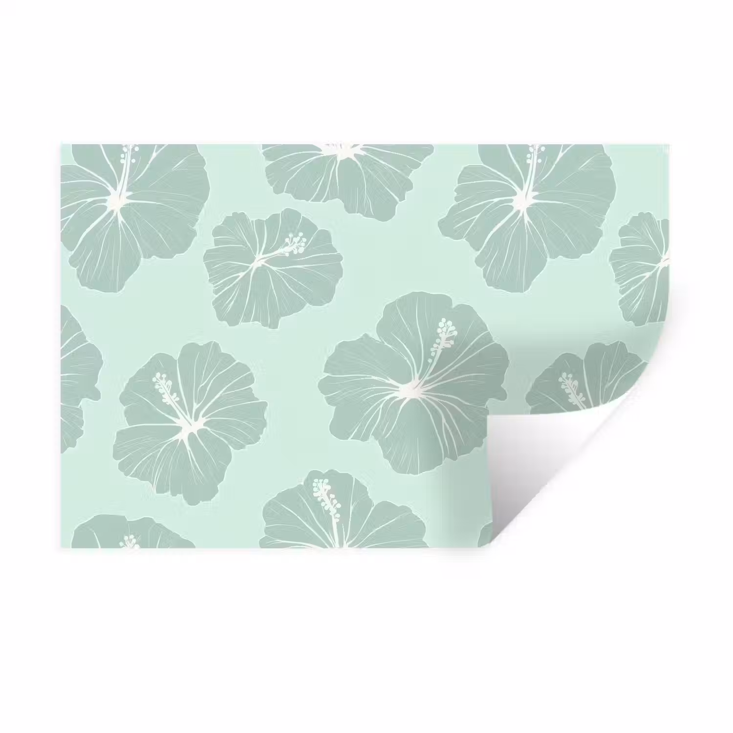 Bloemen - Hibiscus - Mint Muursticker klein 286 -3d
