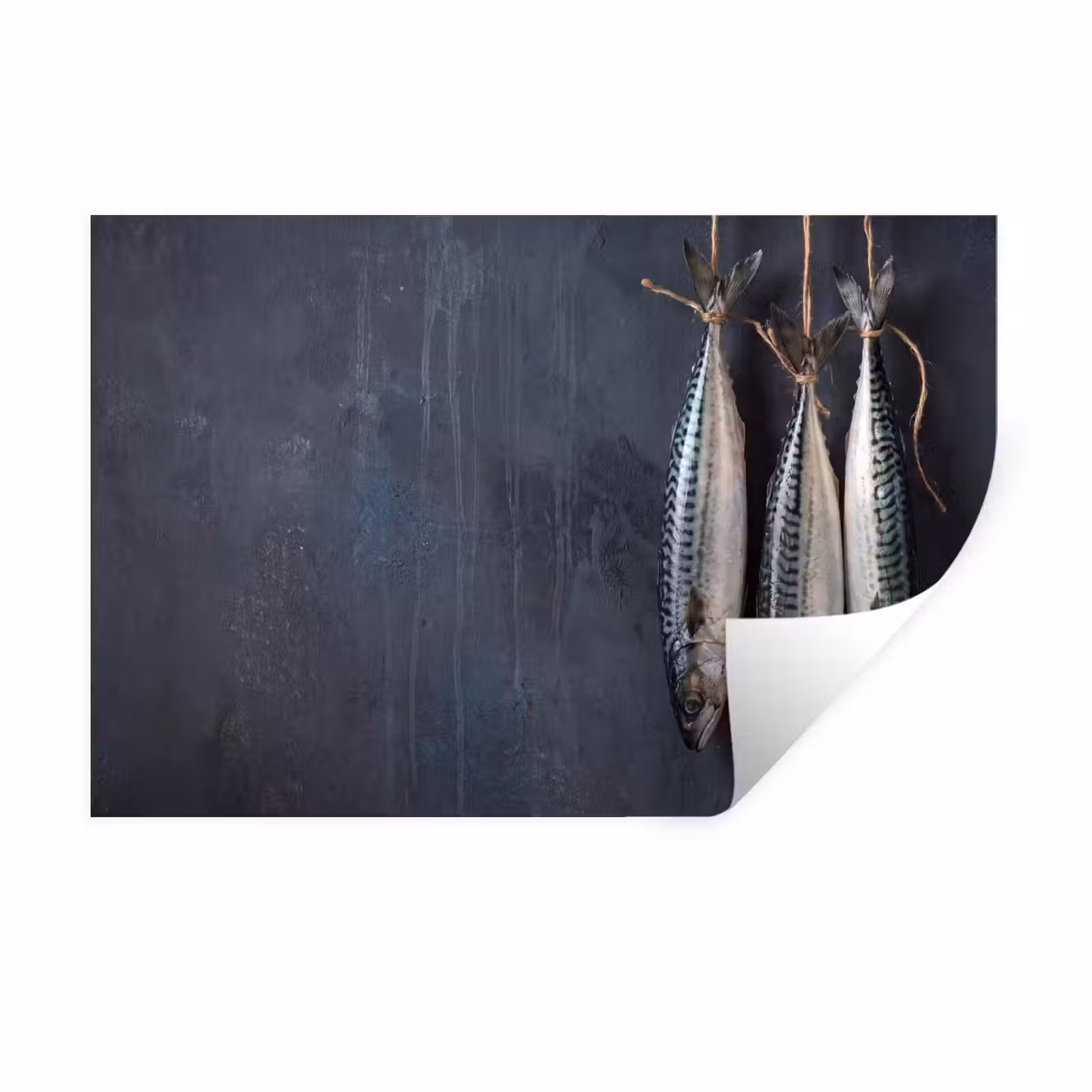 Wandtattoo – Drei Fische – Seil - Drie vissen - Touw Muursticker klein