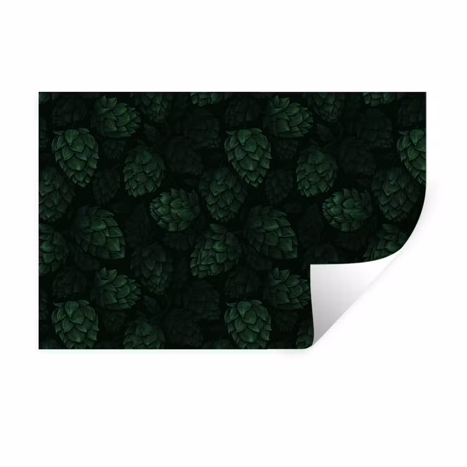 Donker - Groen - Hopbellen - Botanisch - Illustratie Muursticker klein 286 -3d