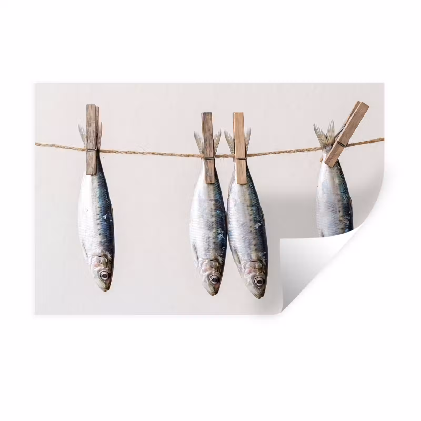 Wandtattoo – Fisch – Hängend – Essen - Vis - Hangend - Eten Muursticker klein