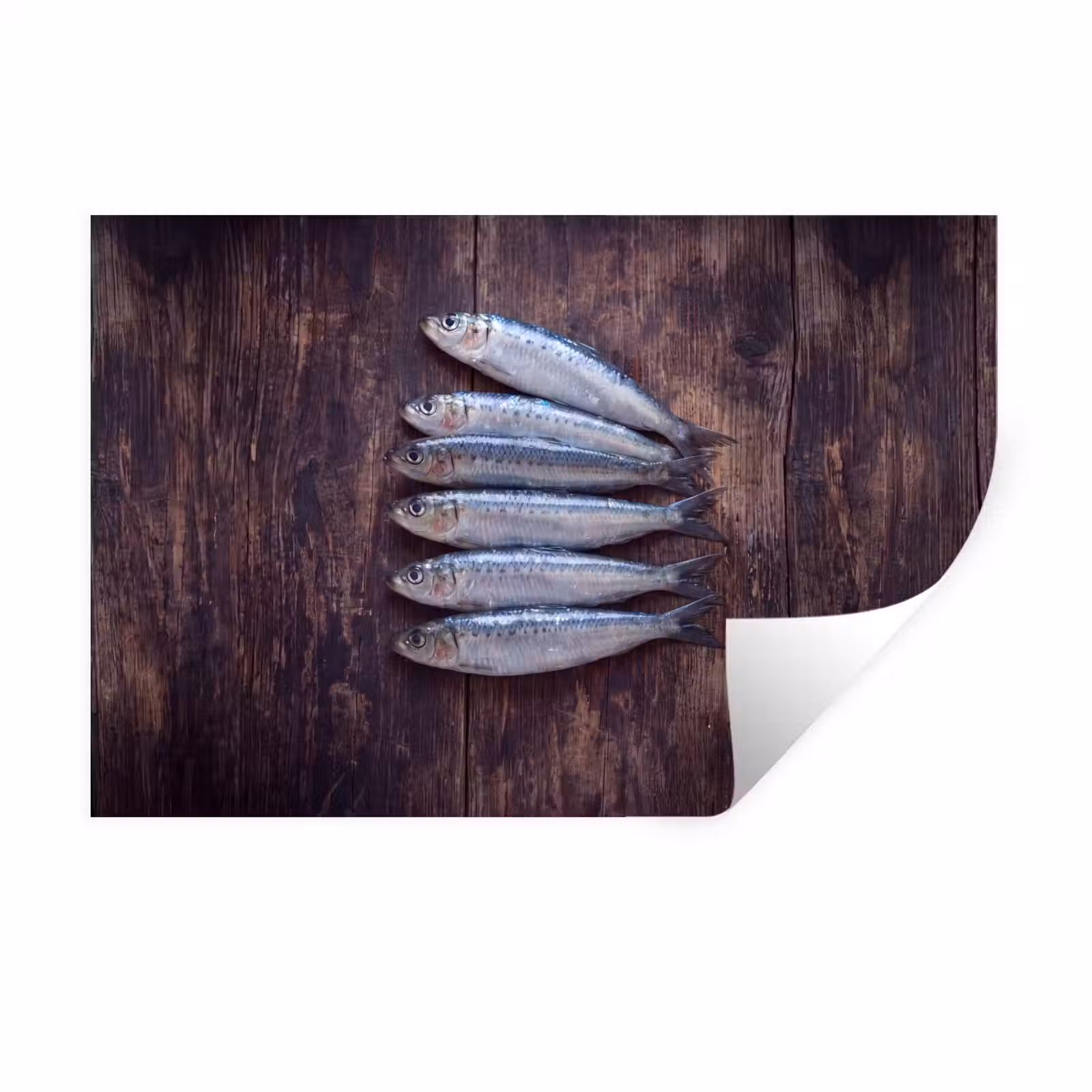 Wandtattoo – Fisch – Holz – Essen - Vis - Hout - Eten Muursticker klein