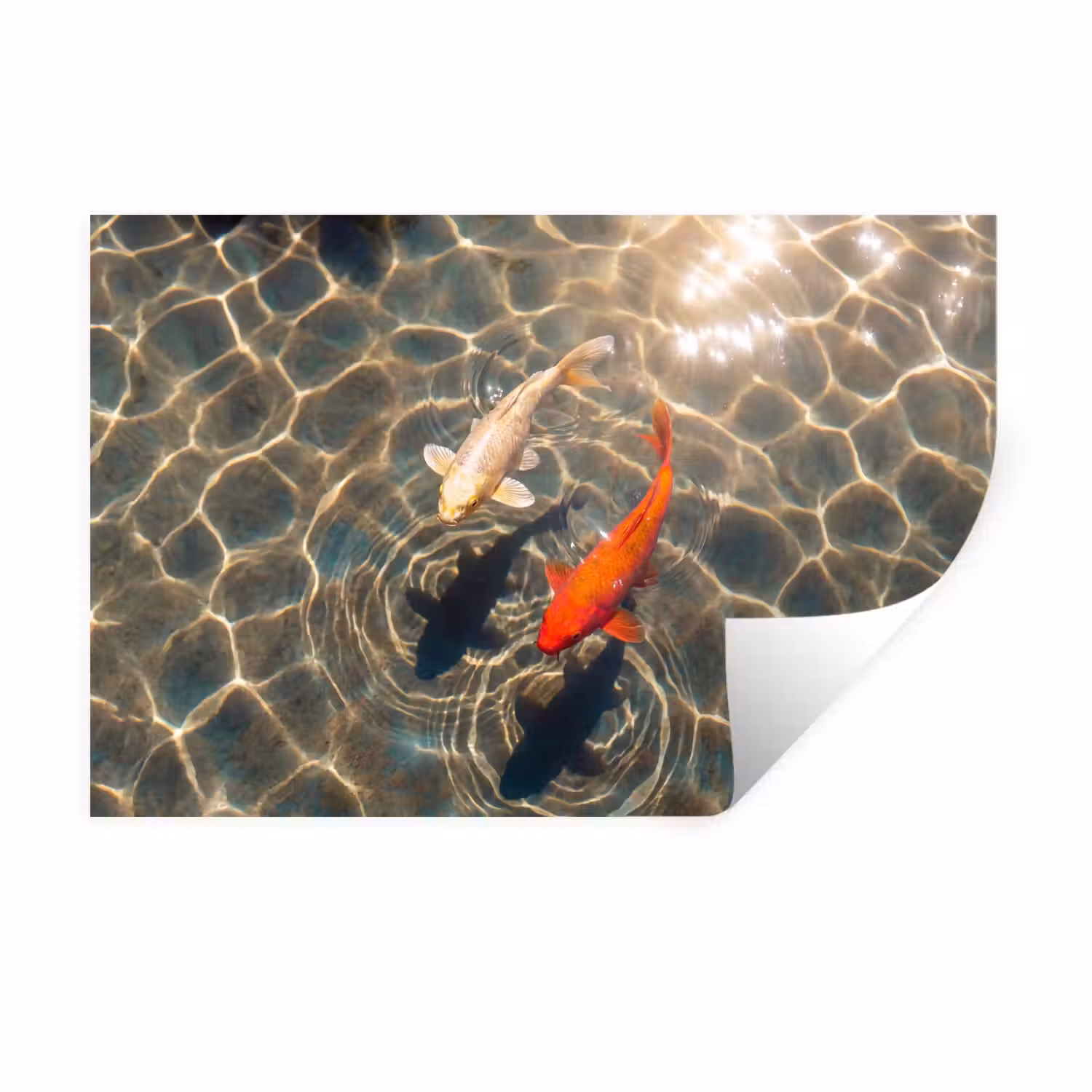 Vis - Water - Dieren - Oranje - Goud Muursticker klein -3d