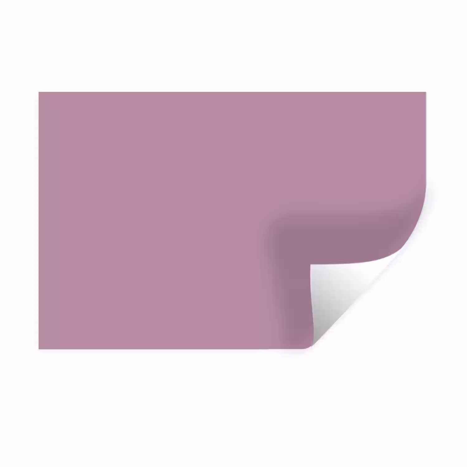 Lilac - Paars - Mauve Muursticker klein 286 -3d