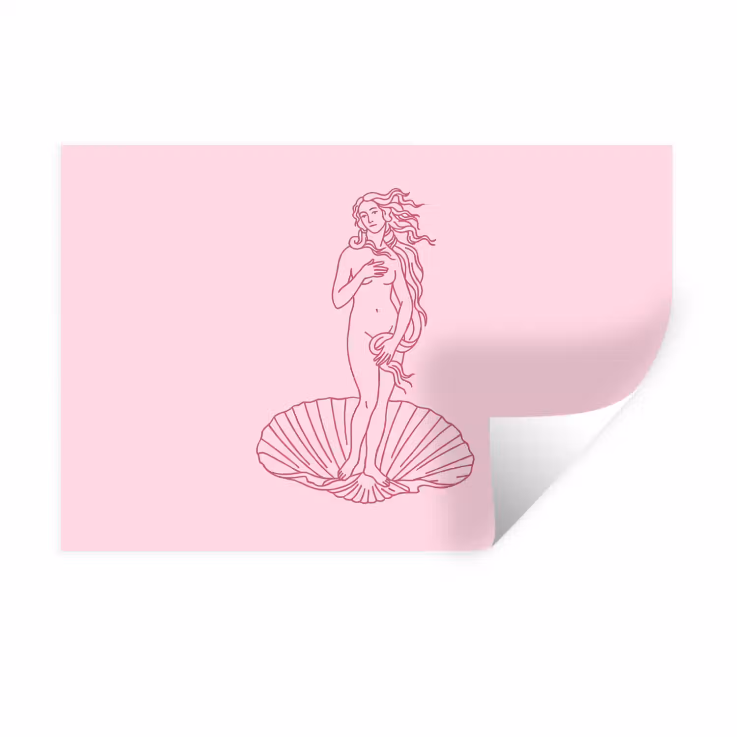 Vrouw - Schelp - Kunst - Lijntekening - Roze Muursticker klein -3d