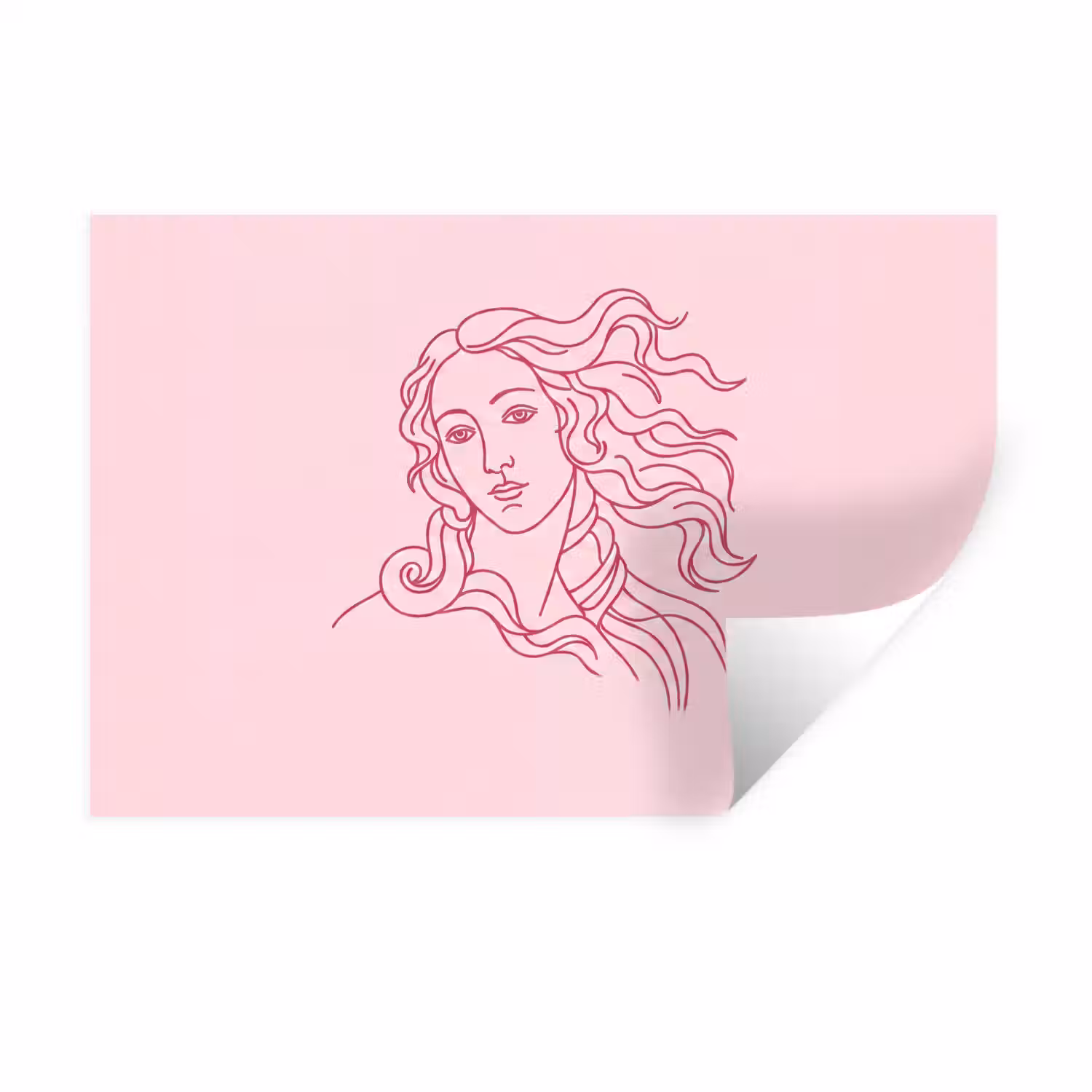 Vrouw - Portret - Klassiek - Line-art - Roze Muursticker klein -3d