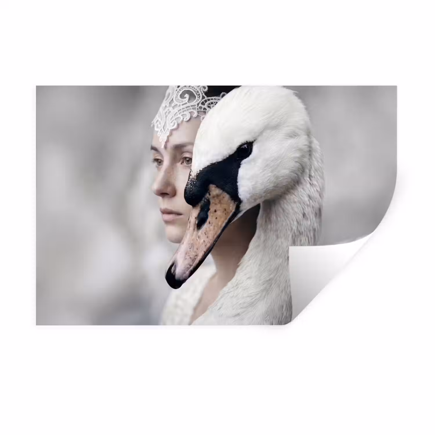 Vrouw - Zwaan - Wit Muursticker klein -3d