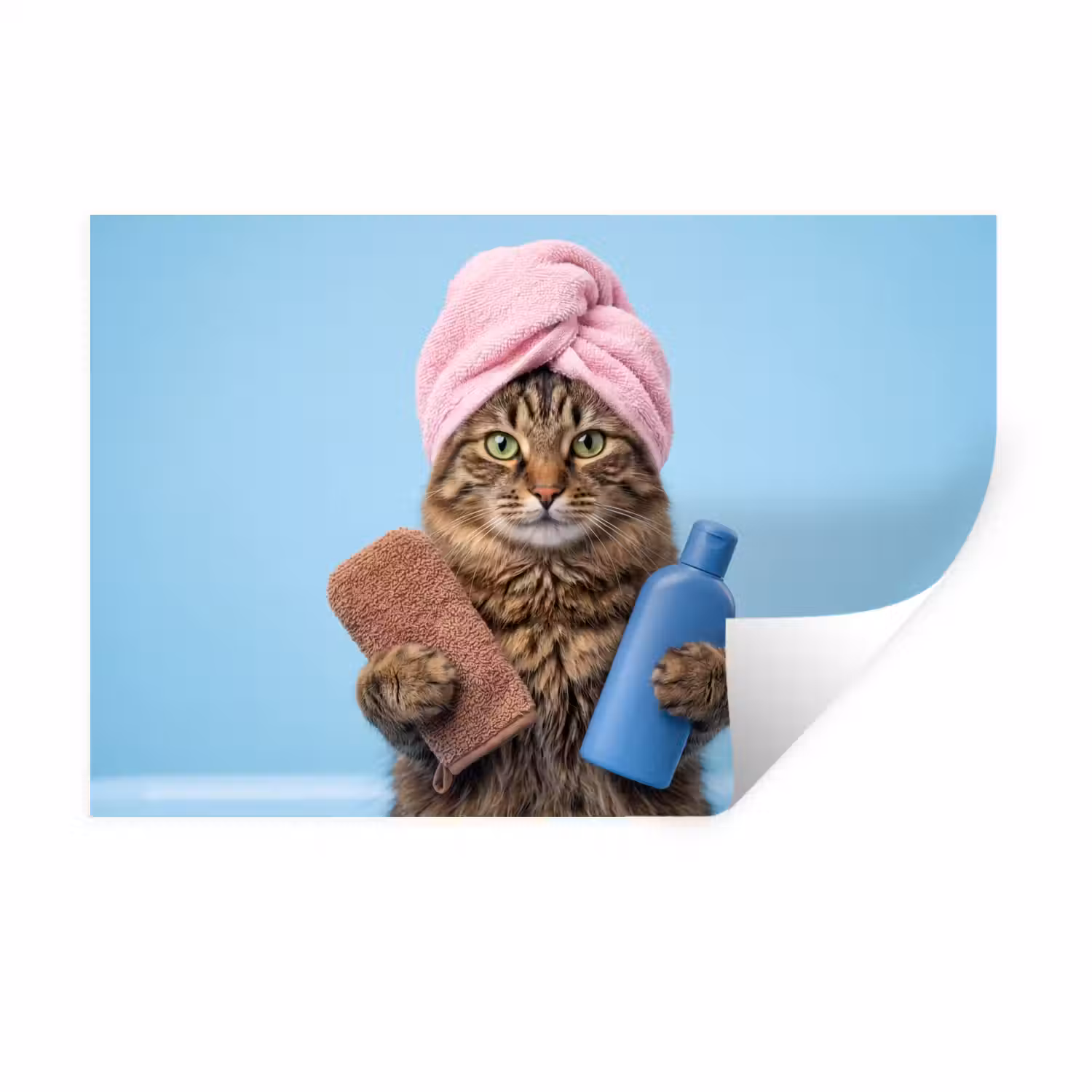 Kat - Handdoek - Washand - Zeep Muursticker klein -3d