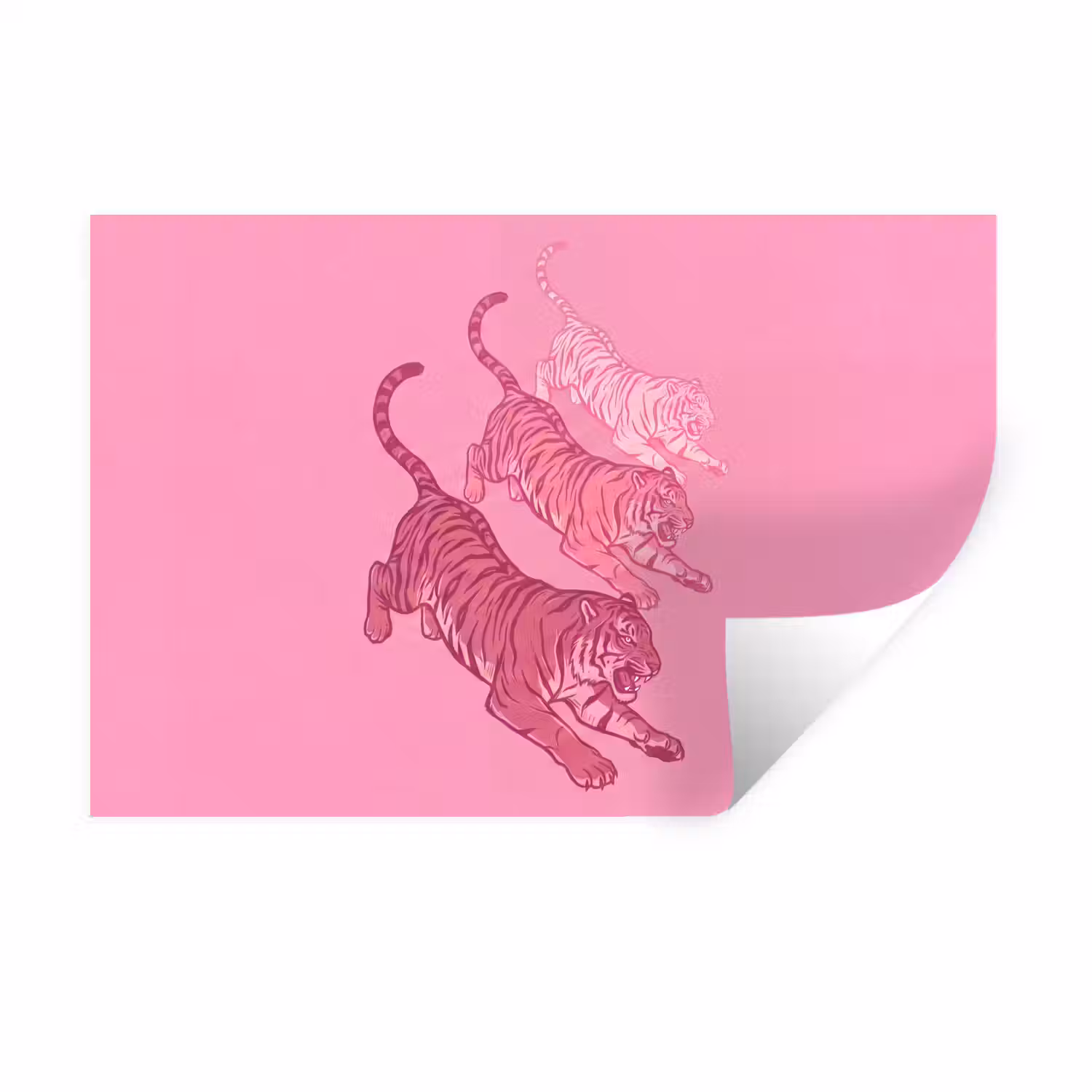 Kat - Springend - Dieren - Roze - Modern Muursticker klein -3d