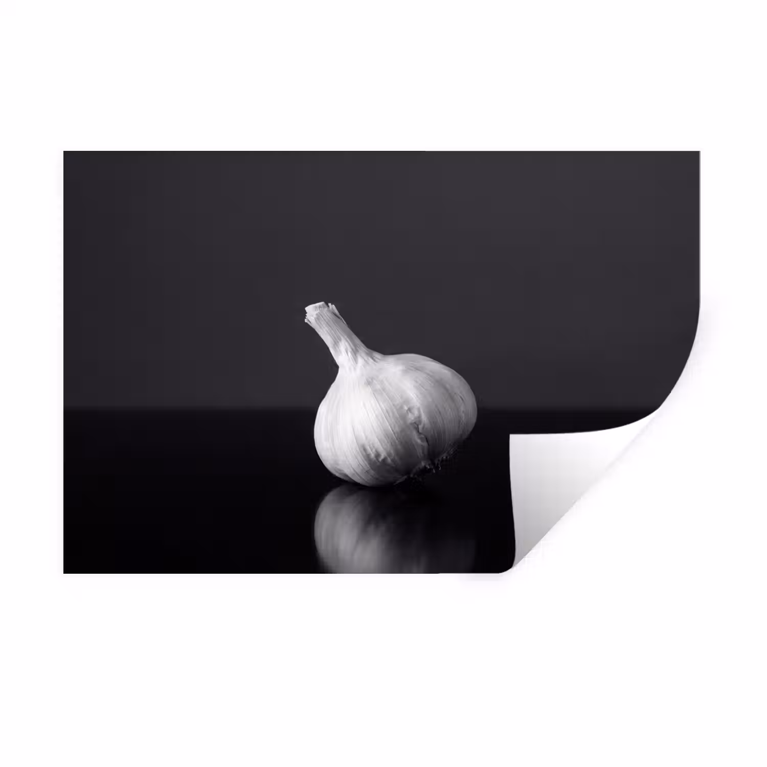 Knoflook - Zwart - Wit Muursticker klein -3d