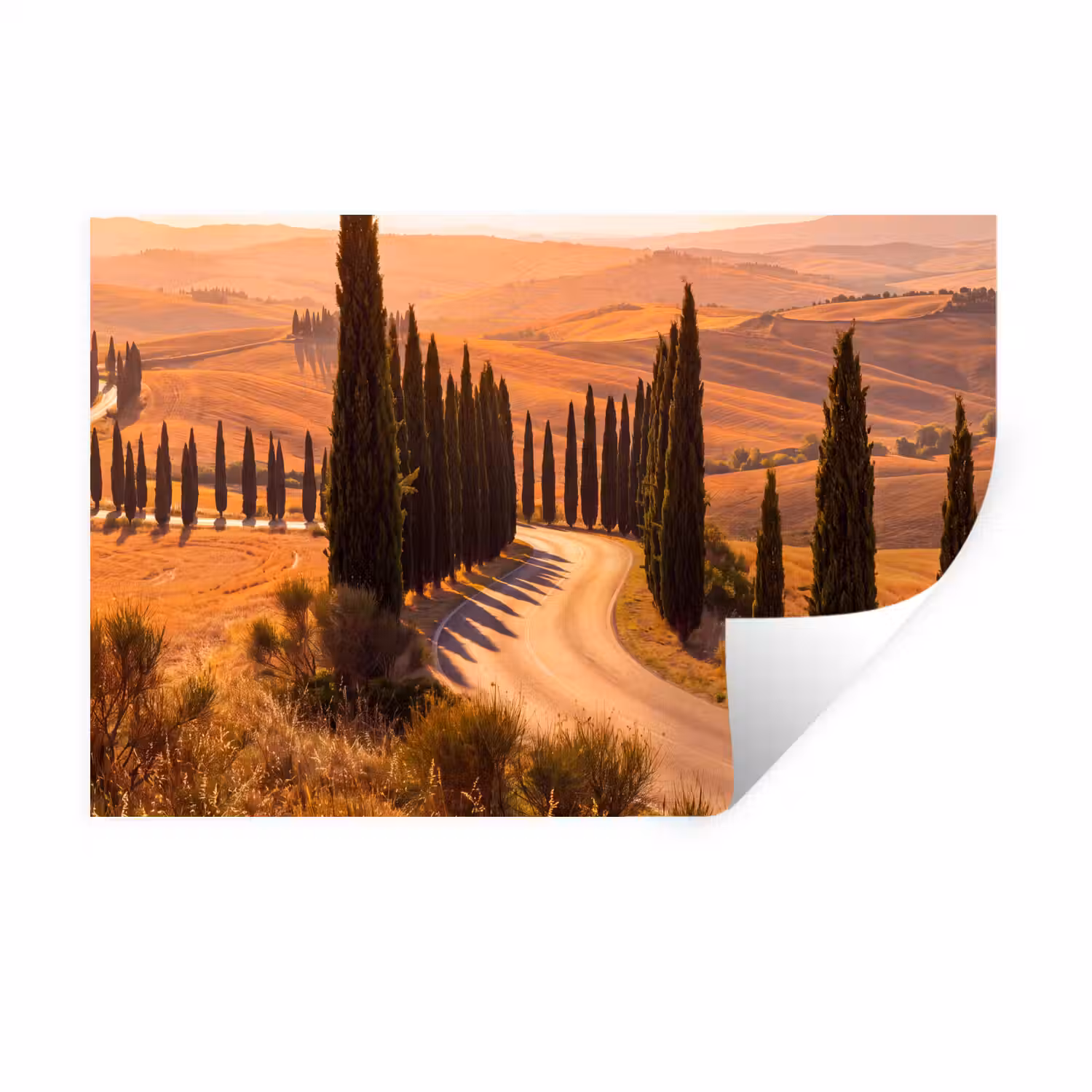 Landschap - Weg - Bomen - Natuur - Goud Muursticker klein -3d