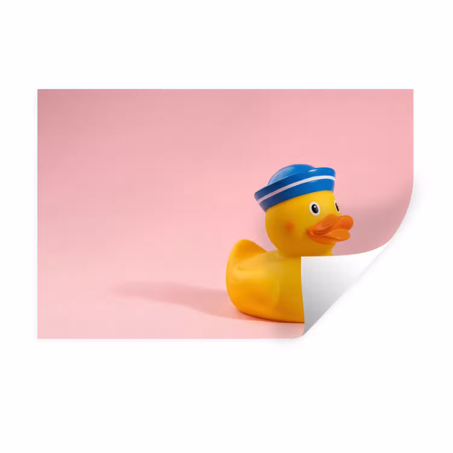Matroos - Eend - Roze Muursticker klein -3d