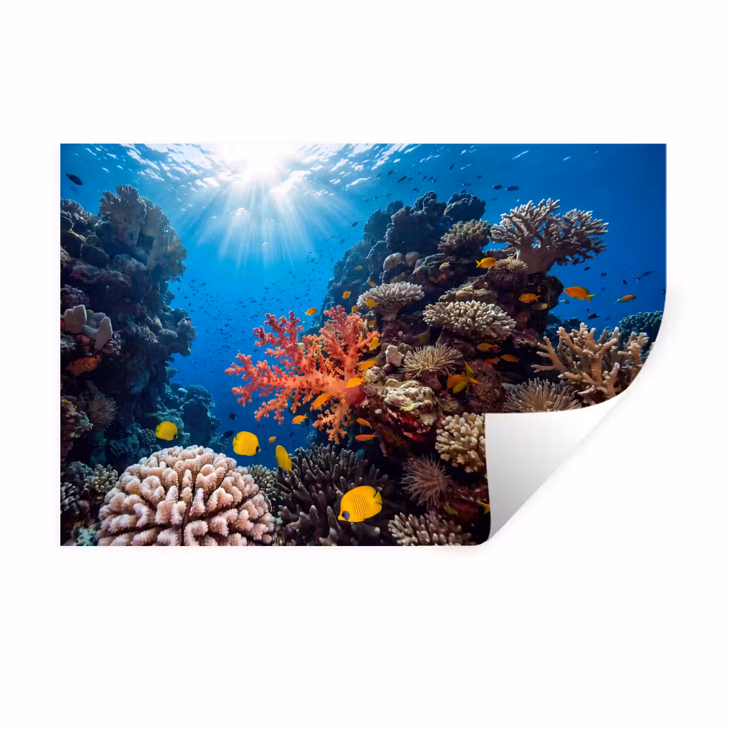 Zee - Koraalrif - Natuur - Levendig - Blauw Muursticker klein -3d