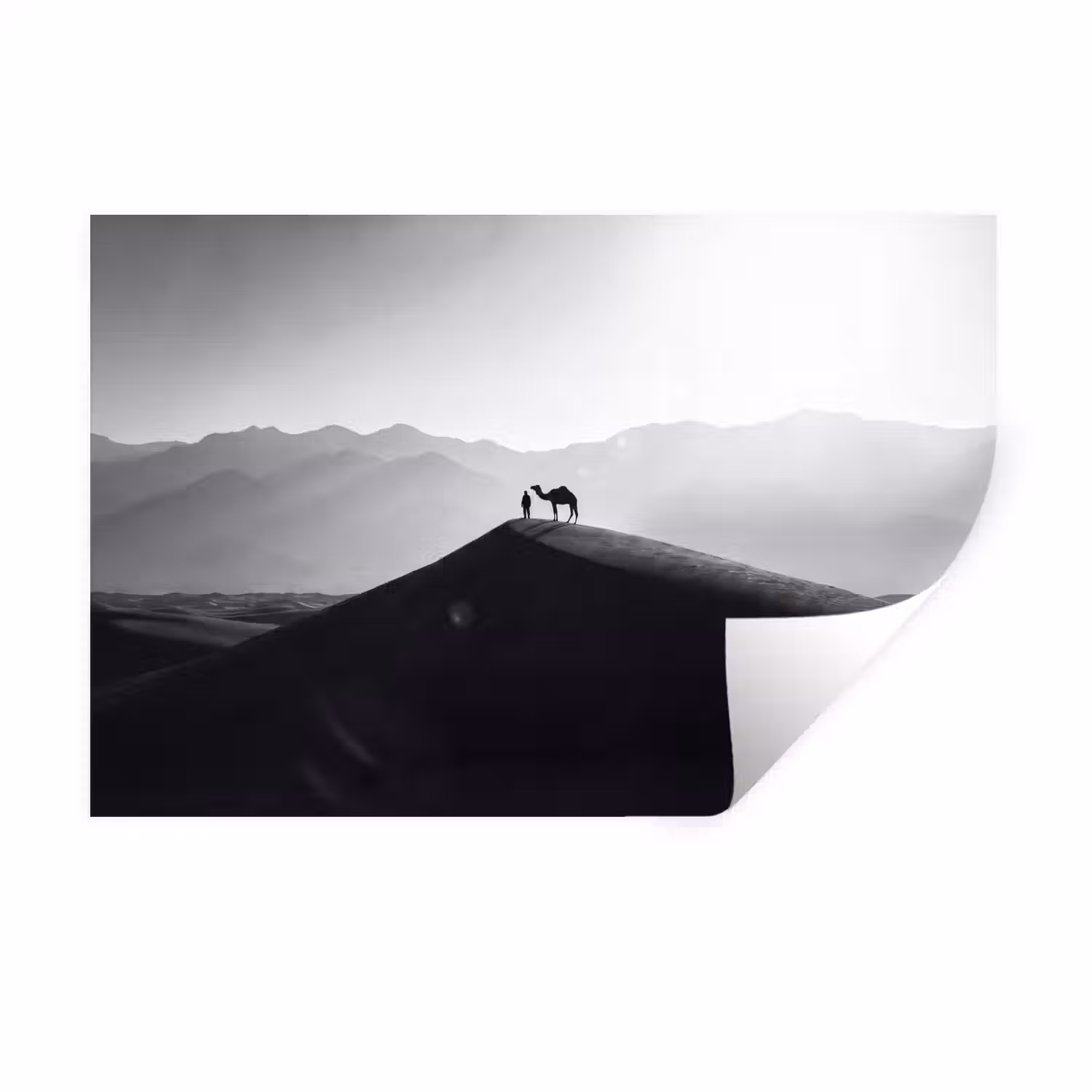 Mens - Kameel - Zandduin - Natuur - Monochroom Muursticker klein -3d