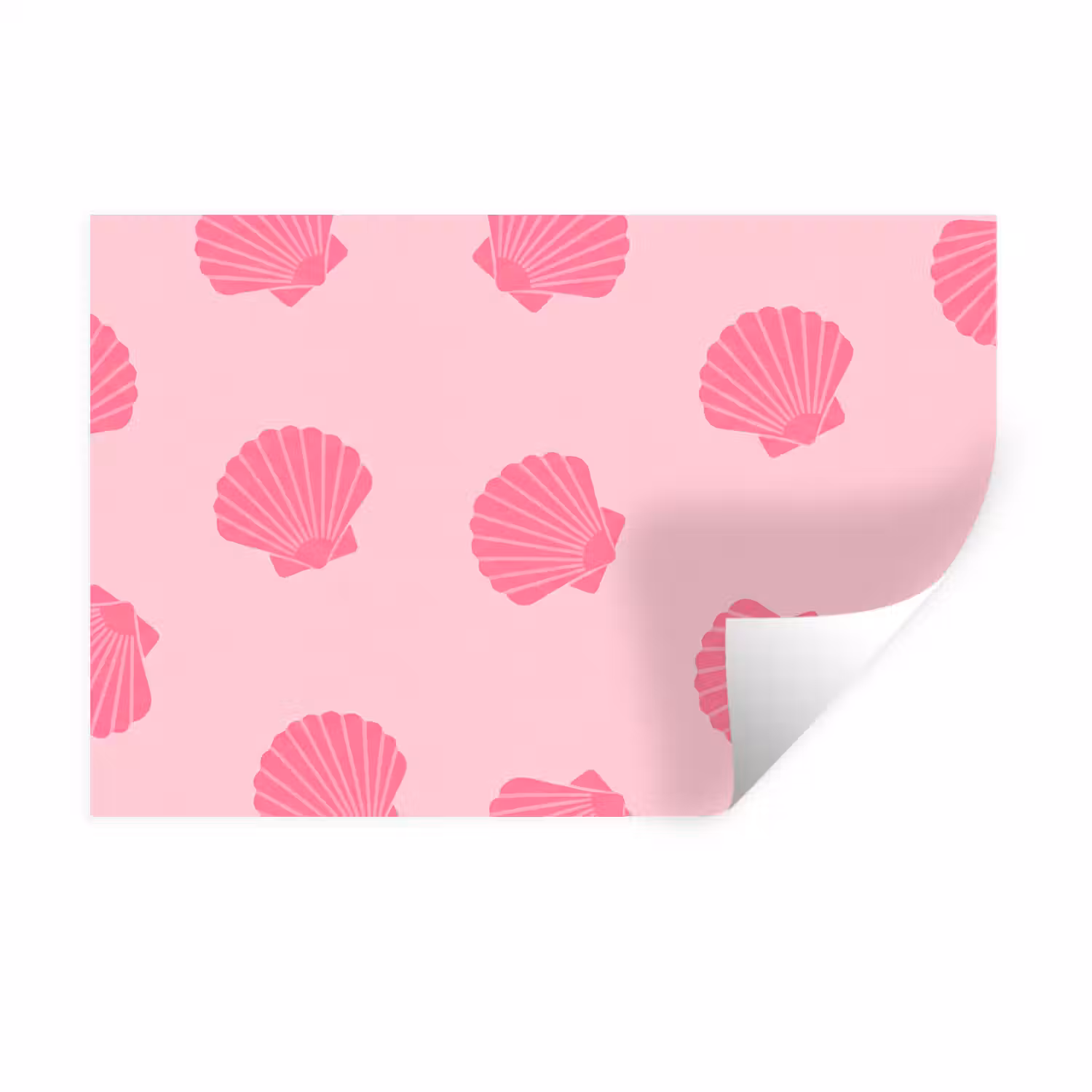Schelp - Patroon - Zee - Modern - Roze Muursticker klein -3d