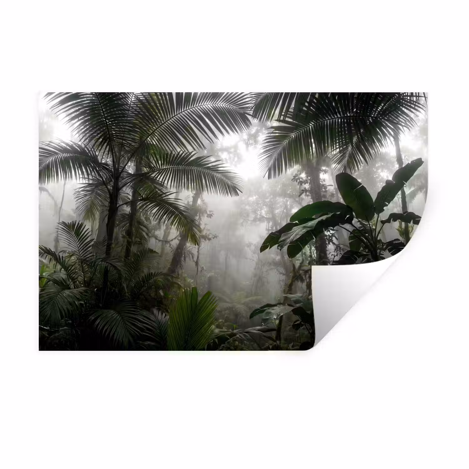 Natuur - Jungle - Mist - Groen - Bladeren Muursticker klein -3d