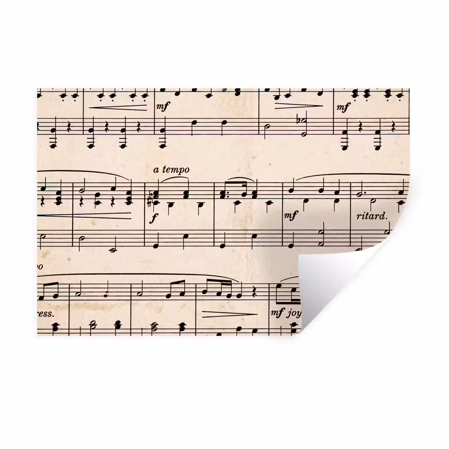 Muzieknotatie - Notenbalken - Kunst - Klassiek - Beige Muursticker klein -3d