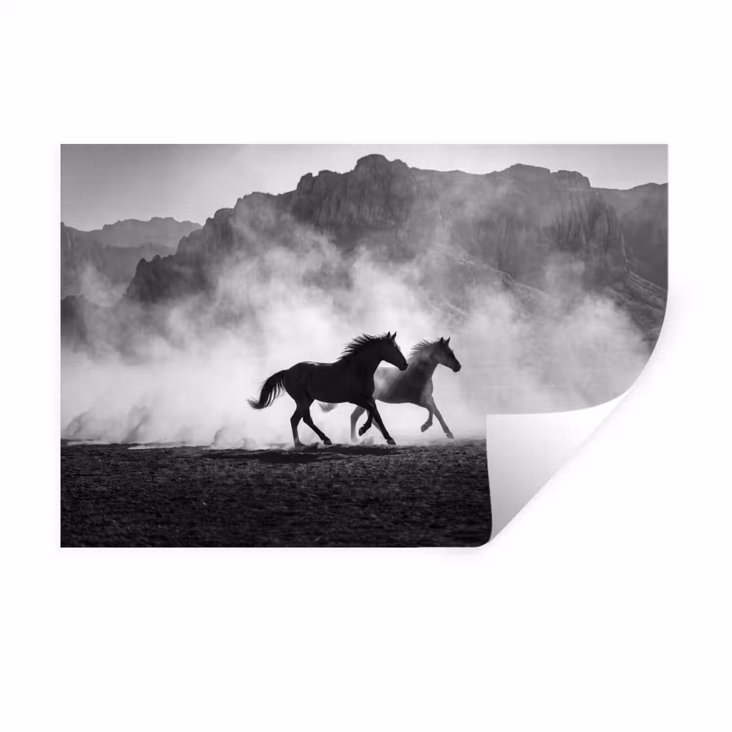 Paard - Ren - Stof - Zwart-wit - Dieren Muursticker klein -3d