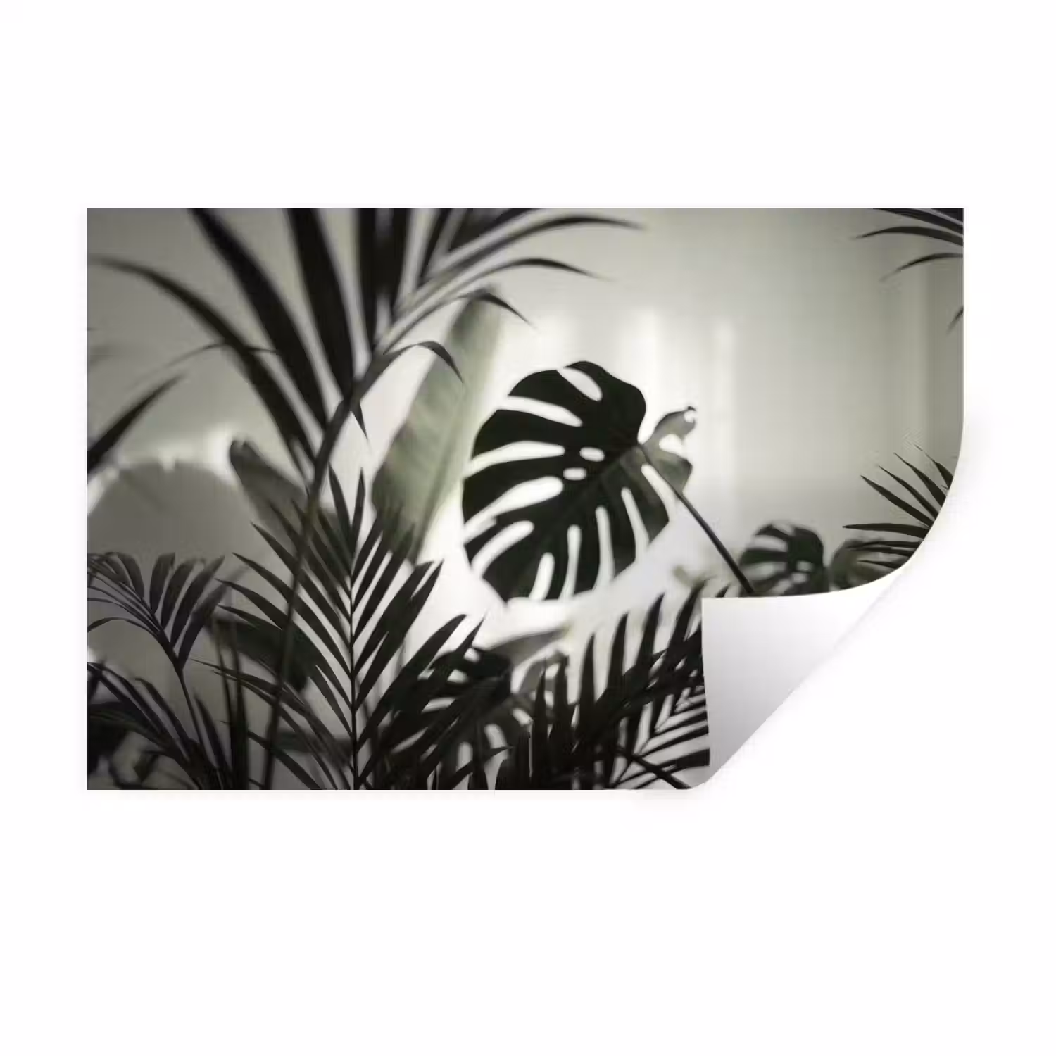 Planten - Bladeren - Natuur - Minimalistisch - Groen Muursticker klein -3d