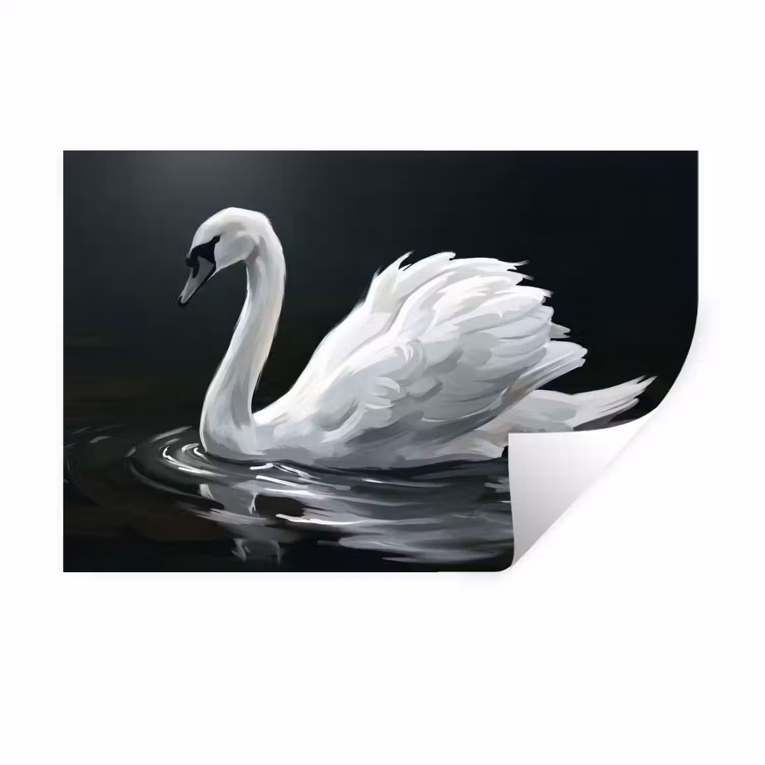 Zwaan - Water - Natuur - Realistisch - Wit Muursticker klein -3d