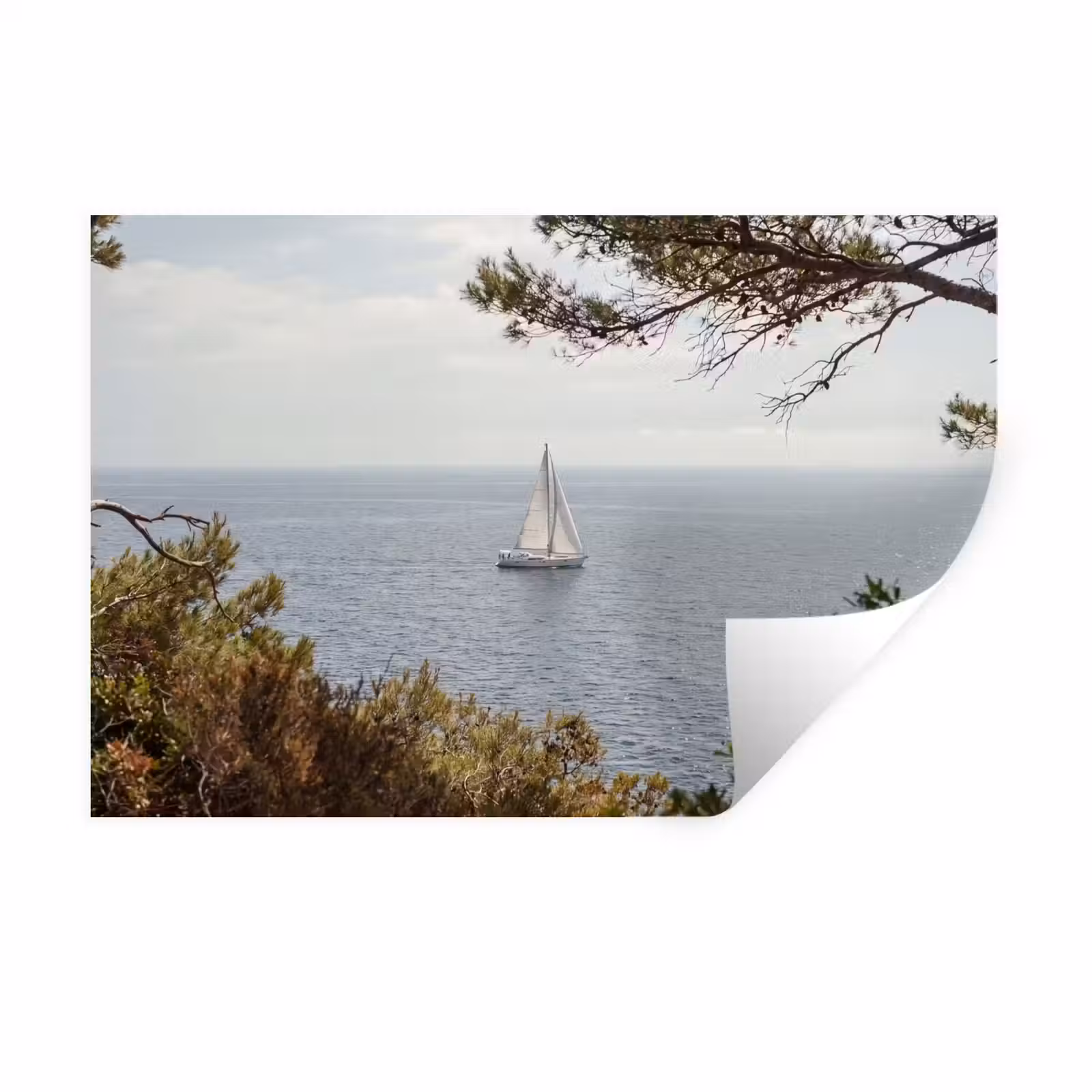 Wandtattoo – Segelboot – Bäume – Wasser - Zeilboot - bomen - water Muursticker klein