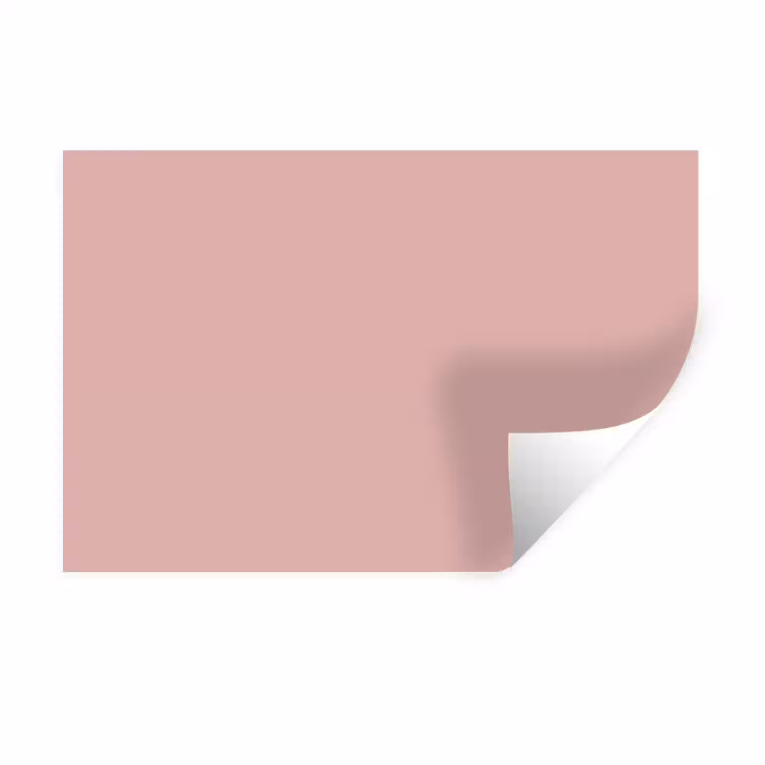 Soft - Blush - Roze Muursticker klein 286 -3d