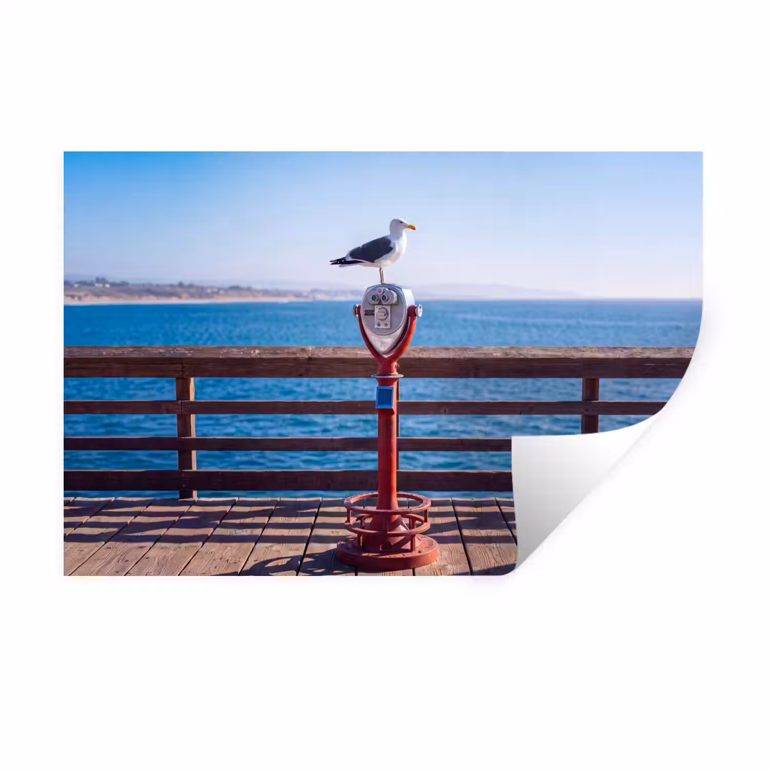 Vogel - Verrekijker - Kust - Zee - Blauw Muursticker klein -3d