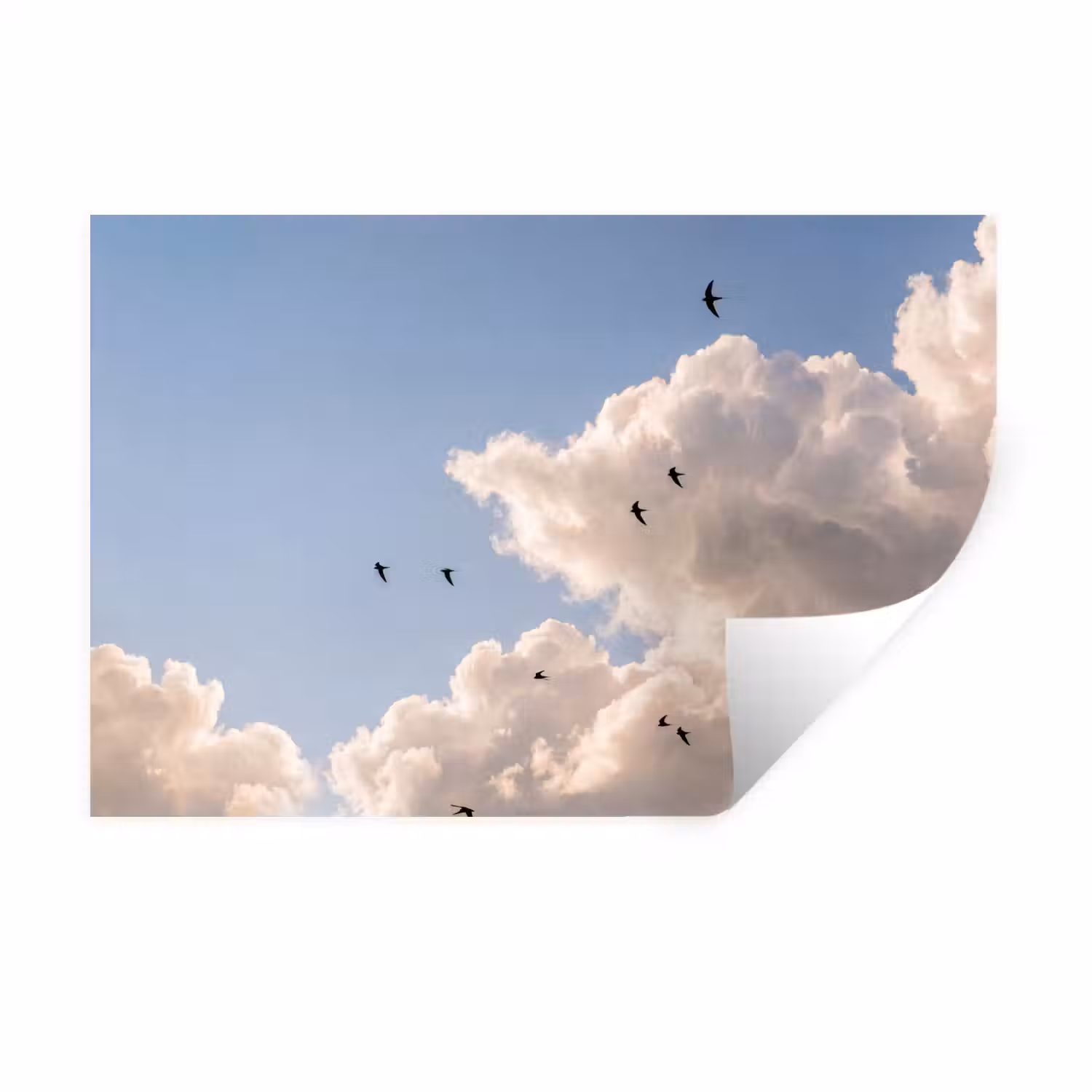 Vogel - Vlucht - Wolken - Natuur - Blauw Muursticker klein -3d