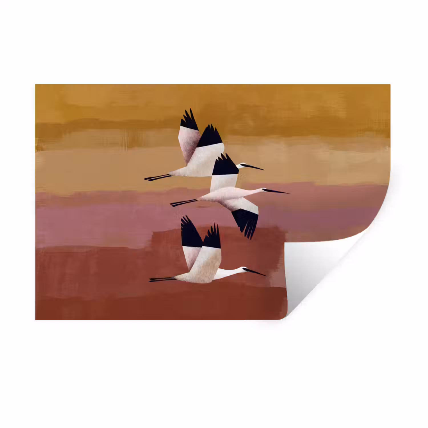 Vogels - Snavel - Abstract Muursticker klein -3d