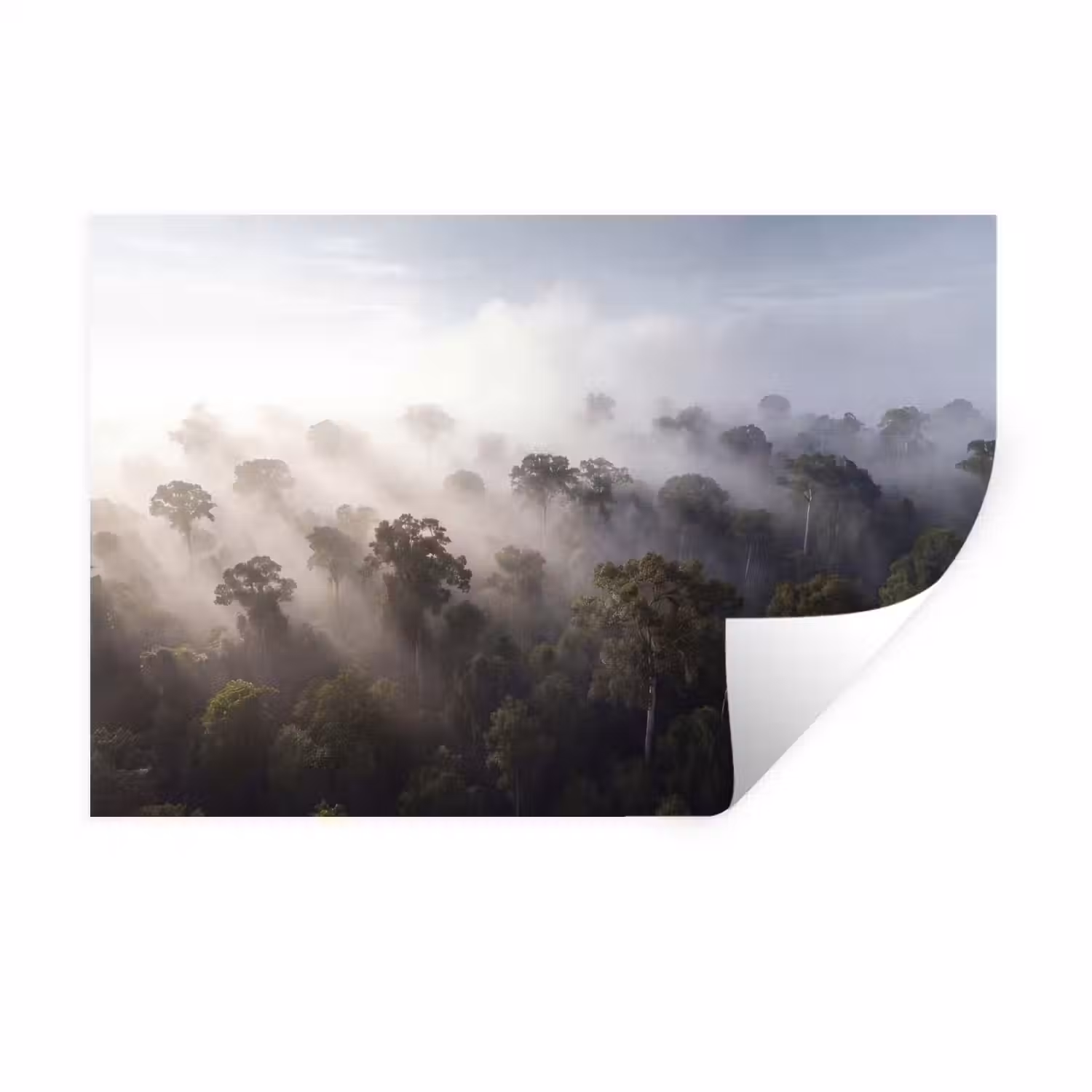 Bos - Mist - Natuur - Groen Muursticker klein -3d