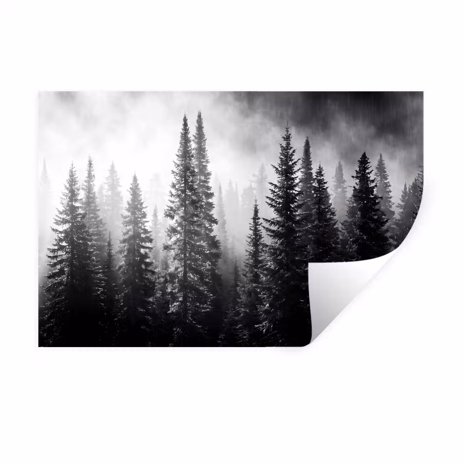 Bos - Mist - Winter - Monochroom - Natuur Muursticker klein -3d