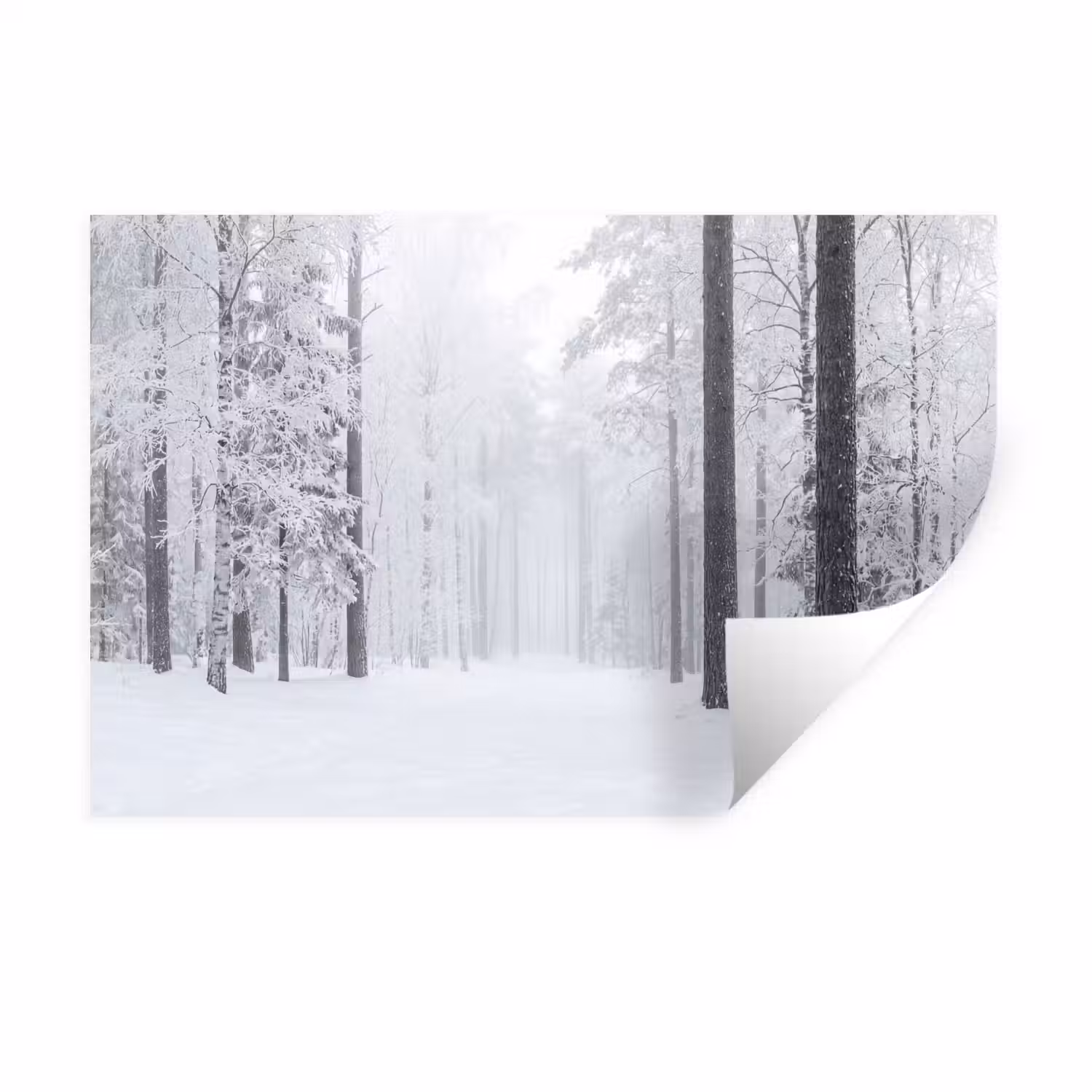 Bos - Sneeuw - Pad - Winter - Stilte Muursticker klein -3d