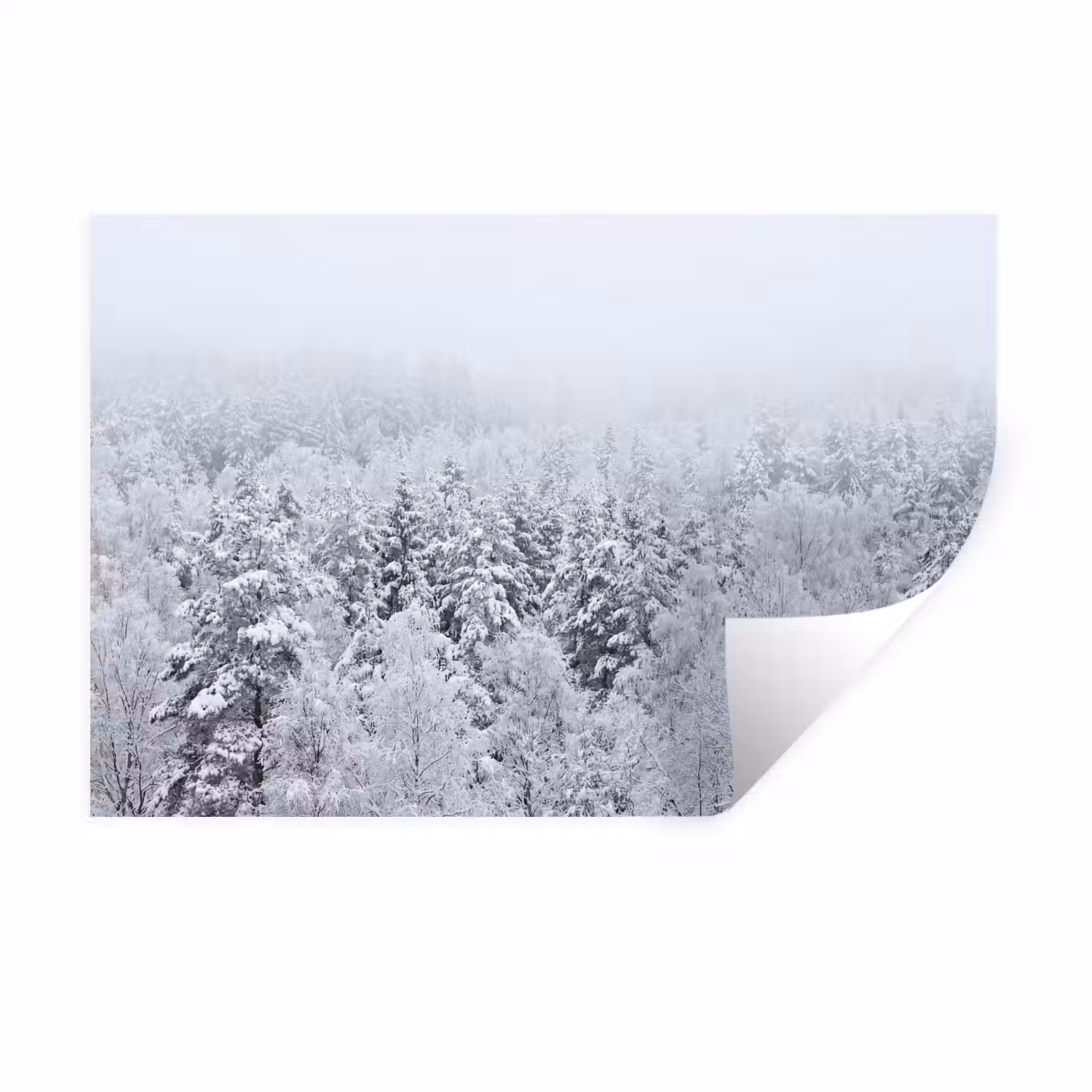 Bos - Sneeuw - Winter - Natuur - Wit Muursticker klein -3d