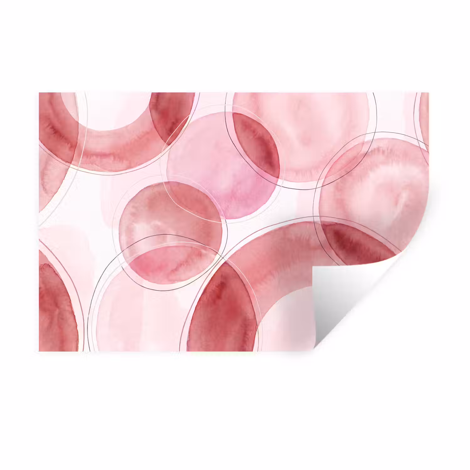 Abstract - Cirkels - Modern - Roze - Kunst Muursticker klein -3d