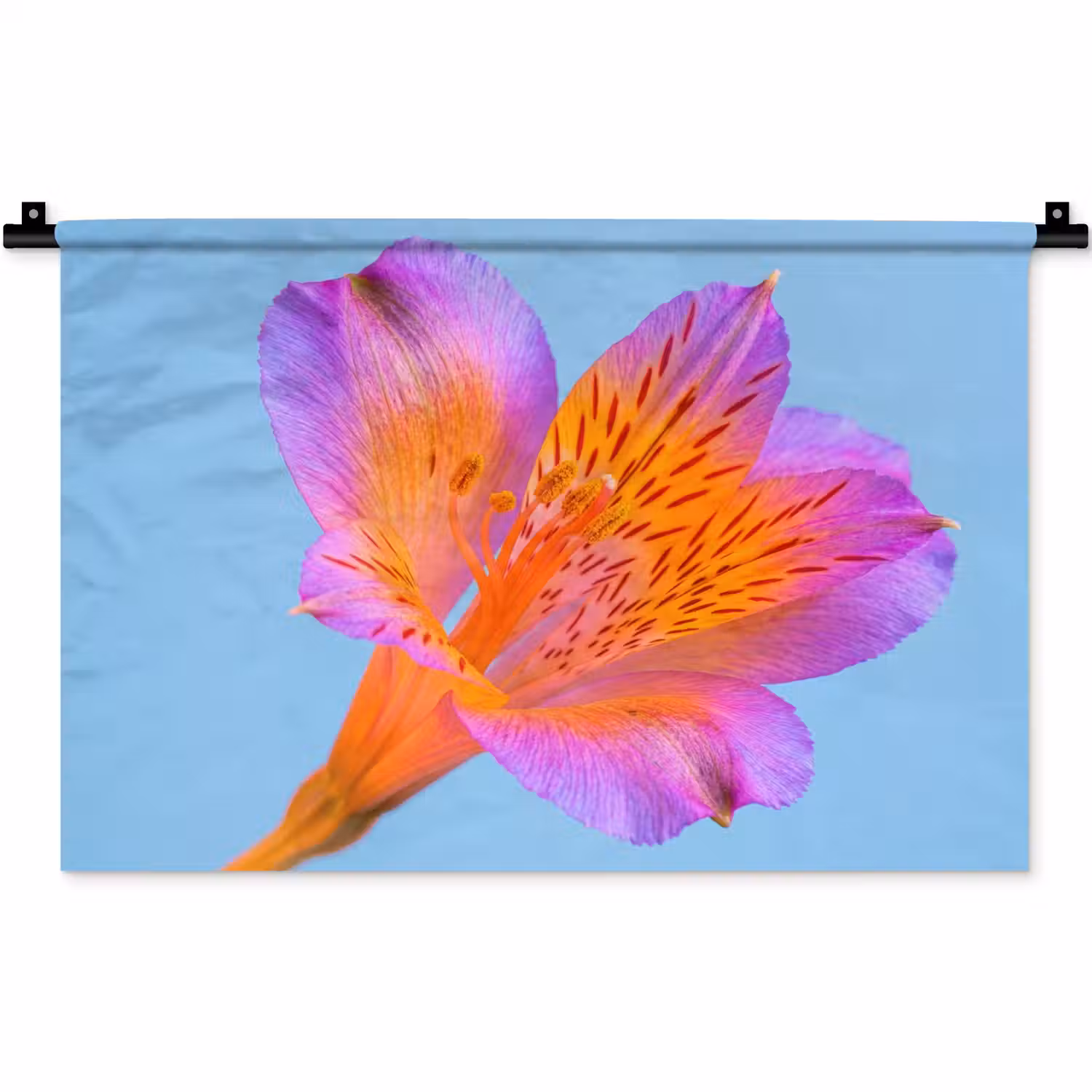 Bloem - Detail - Kleurrijk Wandkleed katoen klein -zz3d
