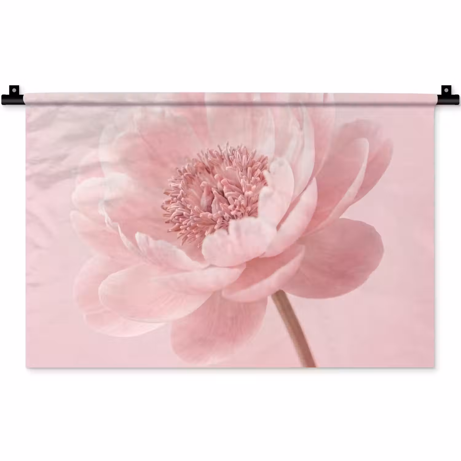 Bloem - Pioenroos - Roze Wandkleed katoen klein -zz3d