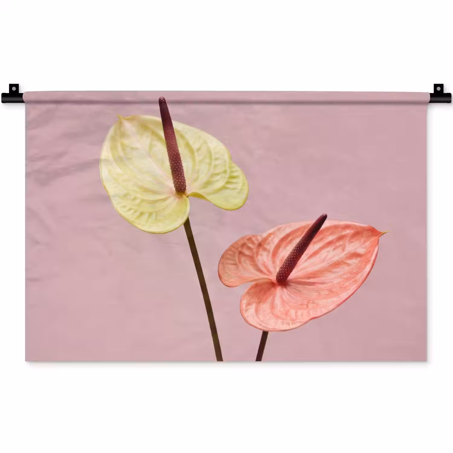 Bloemen - Anthuriums - Geel - Roze Wandkleed katoen klein -zz3d