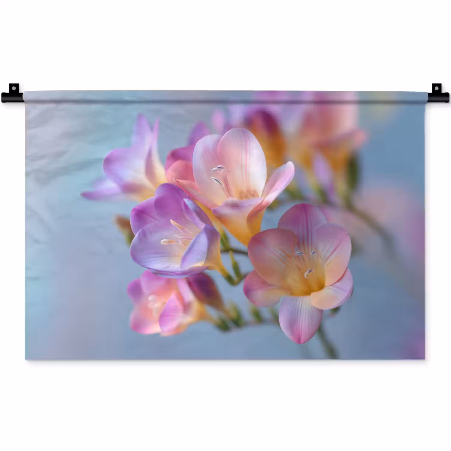 Bloemen - Paars - Overloop - Meeldraden Wandkleed katoen klein -zz3d
