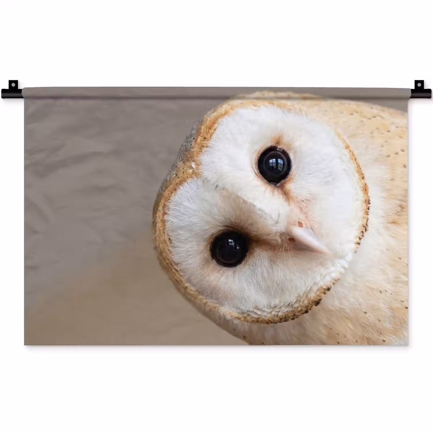 Uil - Bruin - Wit Wandkleed katoen klein -zz3d