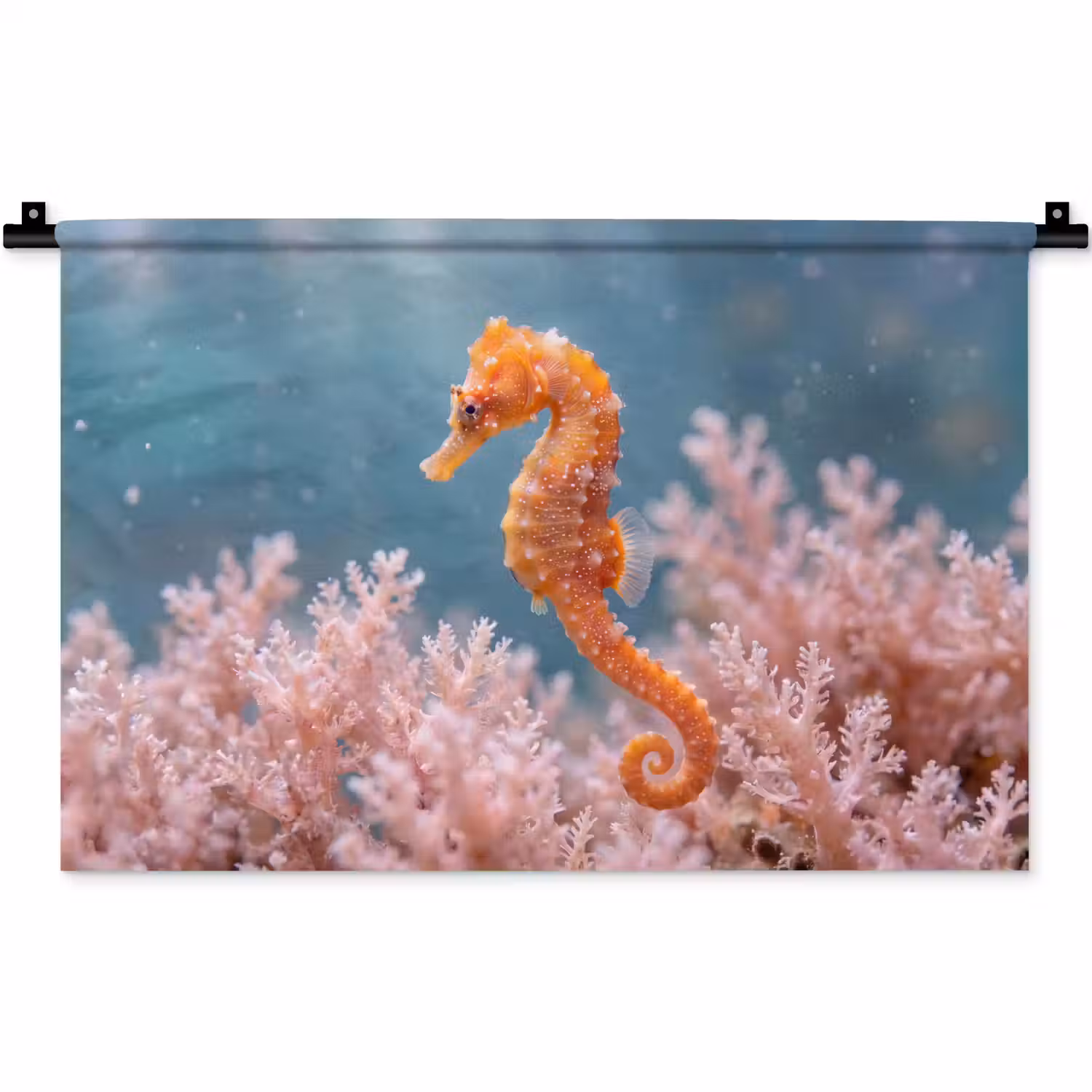 Vis - Koraal - Oceaan - Macro - Oranje Wandkleed katoen klein -zz3d