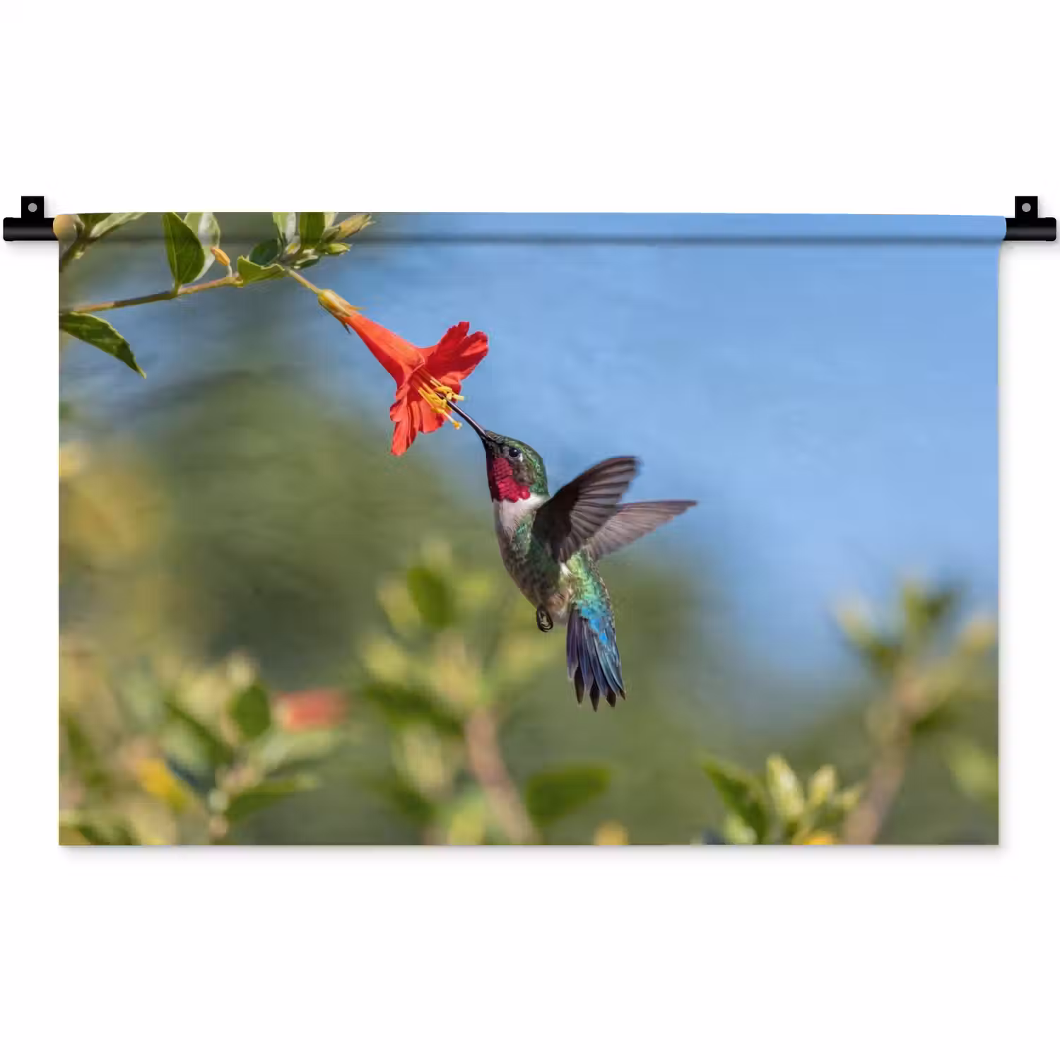 Kolibrie - Bloem - Natuur - Groen Wandkleed katoen klein -zz3d