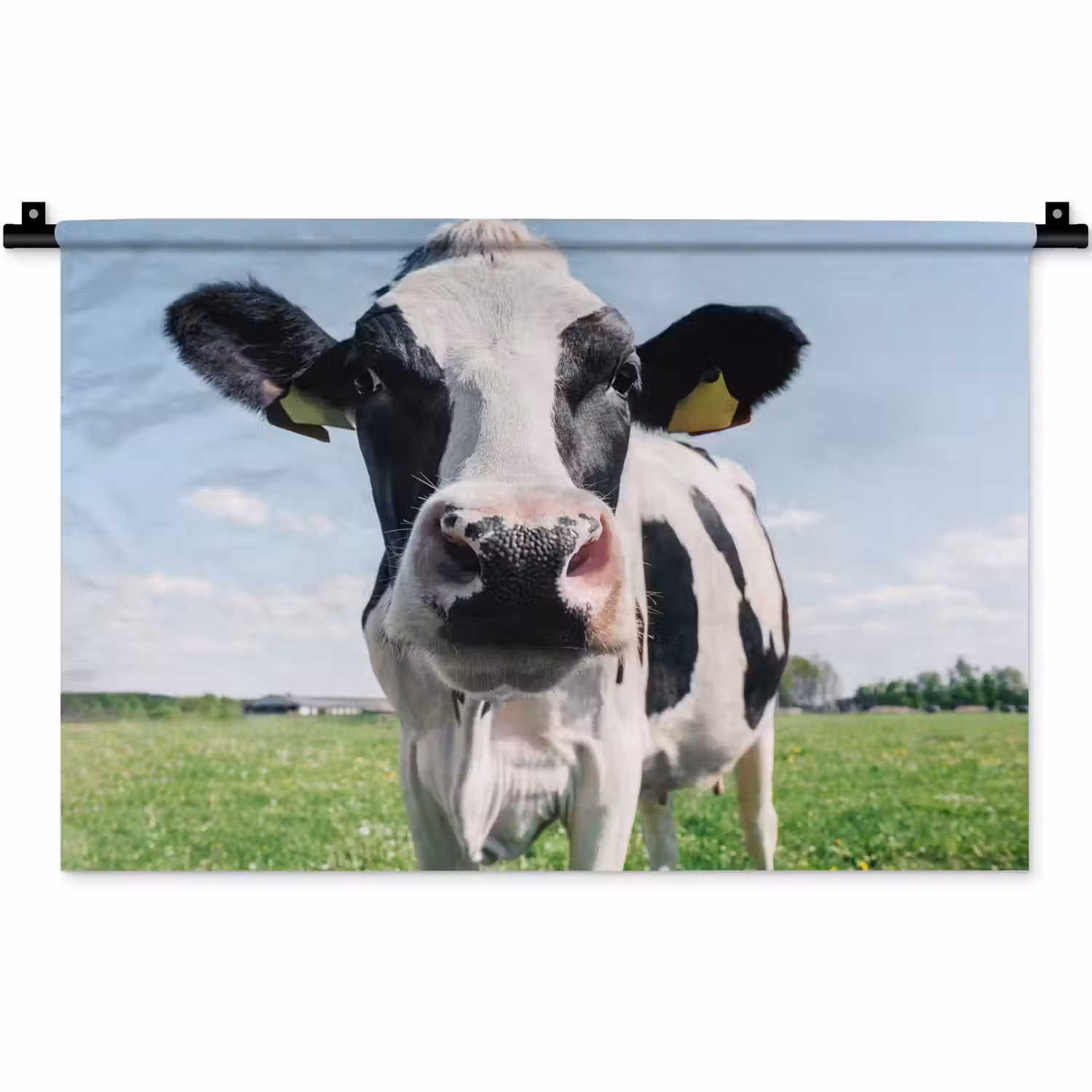 Koe - Weiland - Natuur - Dieren - Gras Wandkleed katoen klein -zz3d